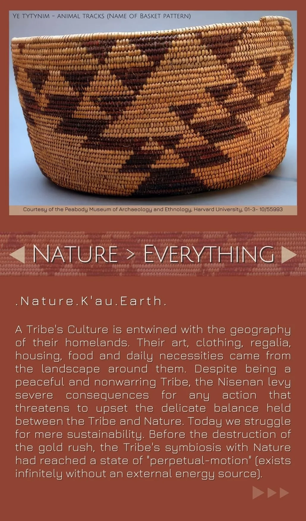 Nature Everything.jpg