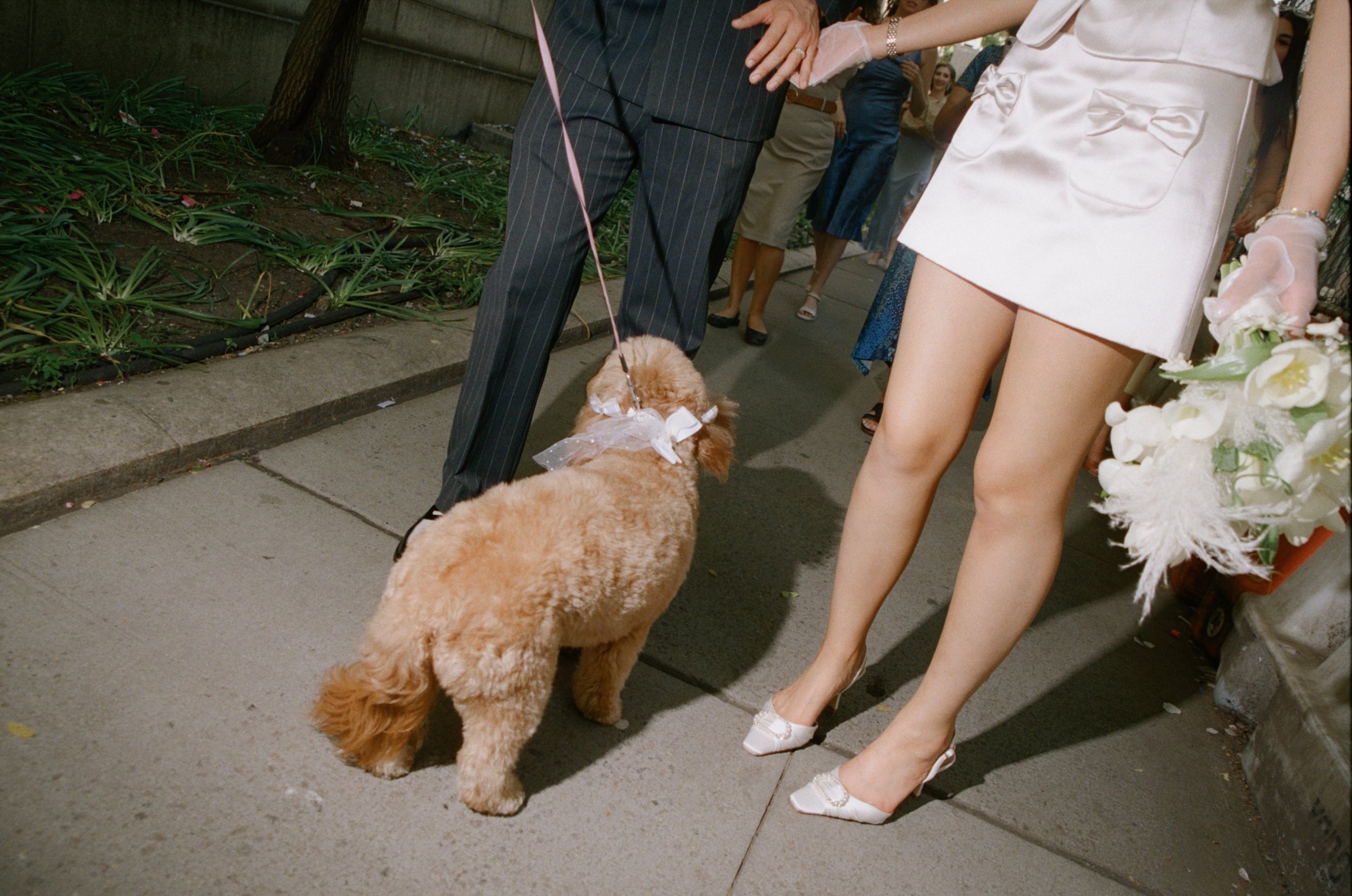Machelle & Daniel - TianaMichelePhoto-43.jpg