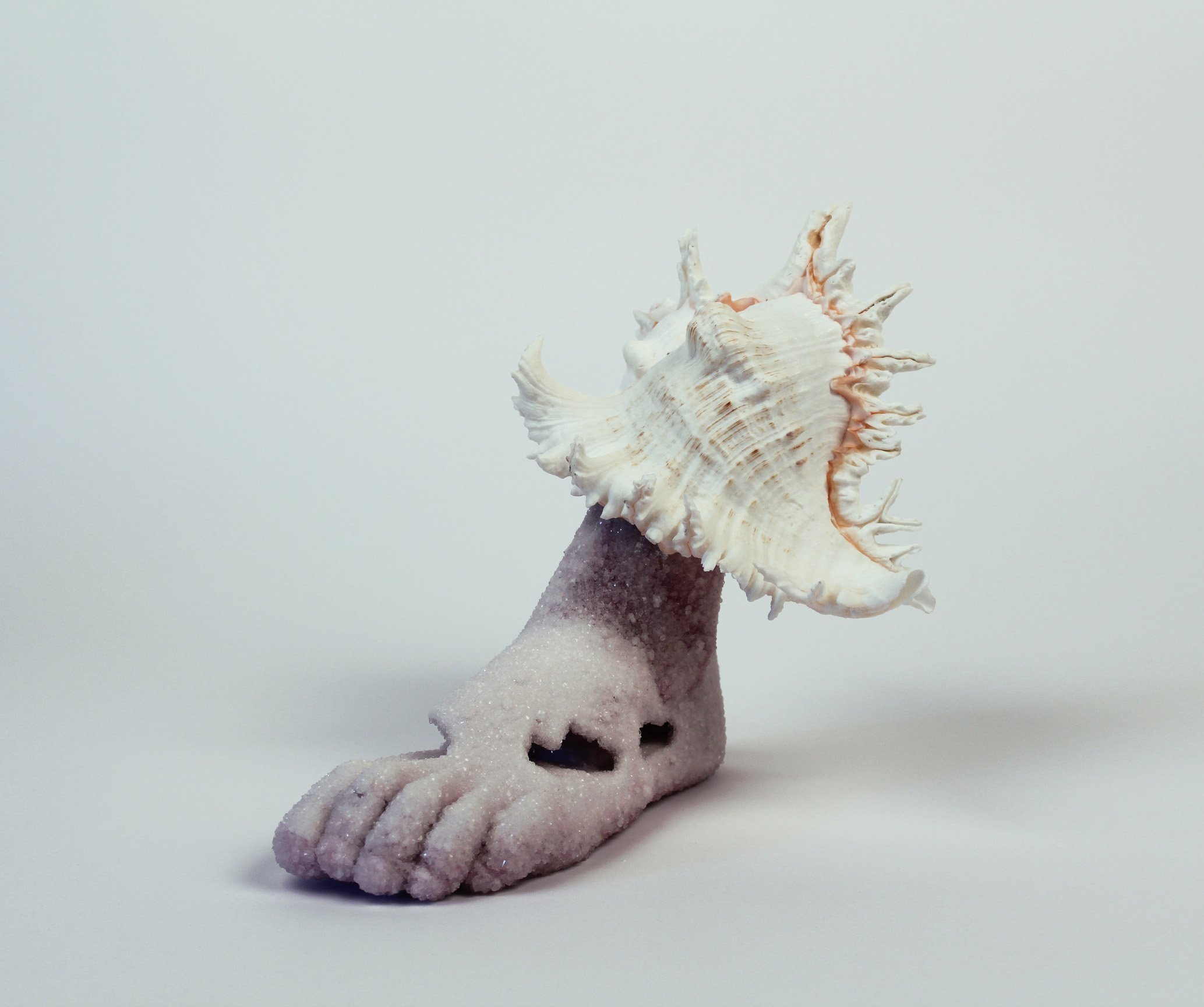 LaurenCarly_Shaw_Pedites Crystallo Molluscus(12.5 x 6.5 x 11 inches)(evaporites, aqua resin, shell) - Lauren Carly Shaw.jpg
