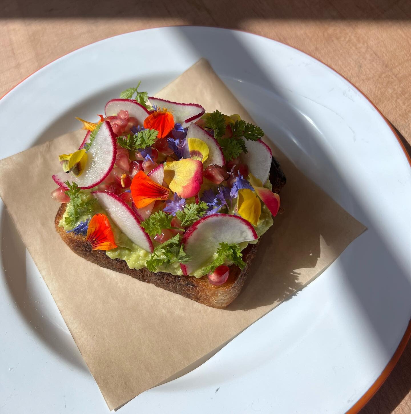 obligatory avocado toast
pomegranate &bull; garden flora&bull; 
red radish