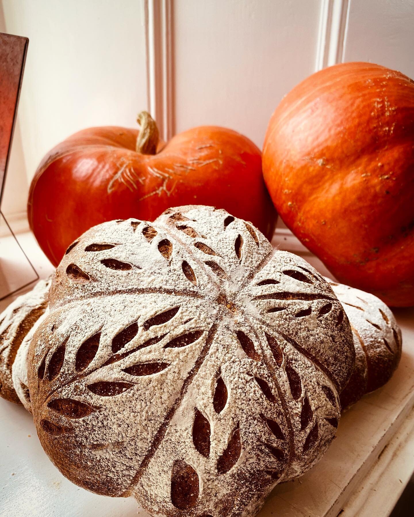 pumpkin sourdough loaves now available