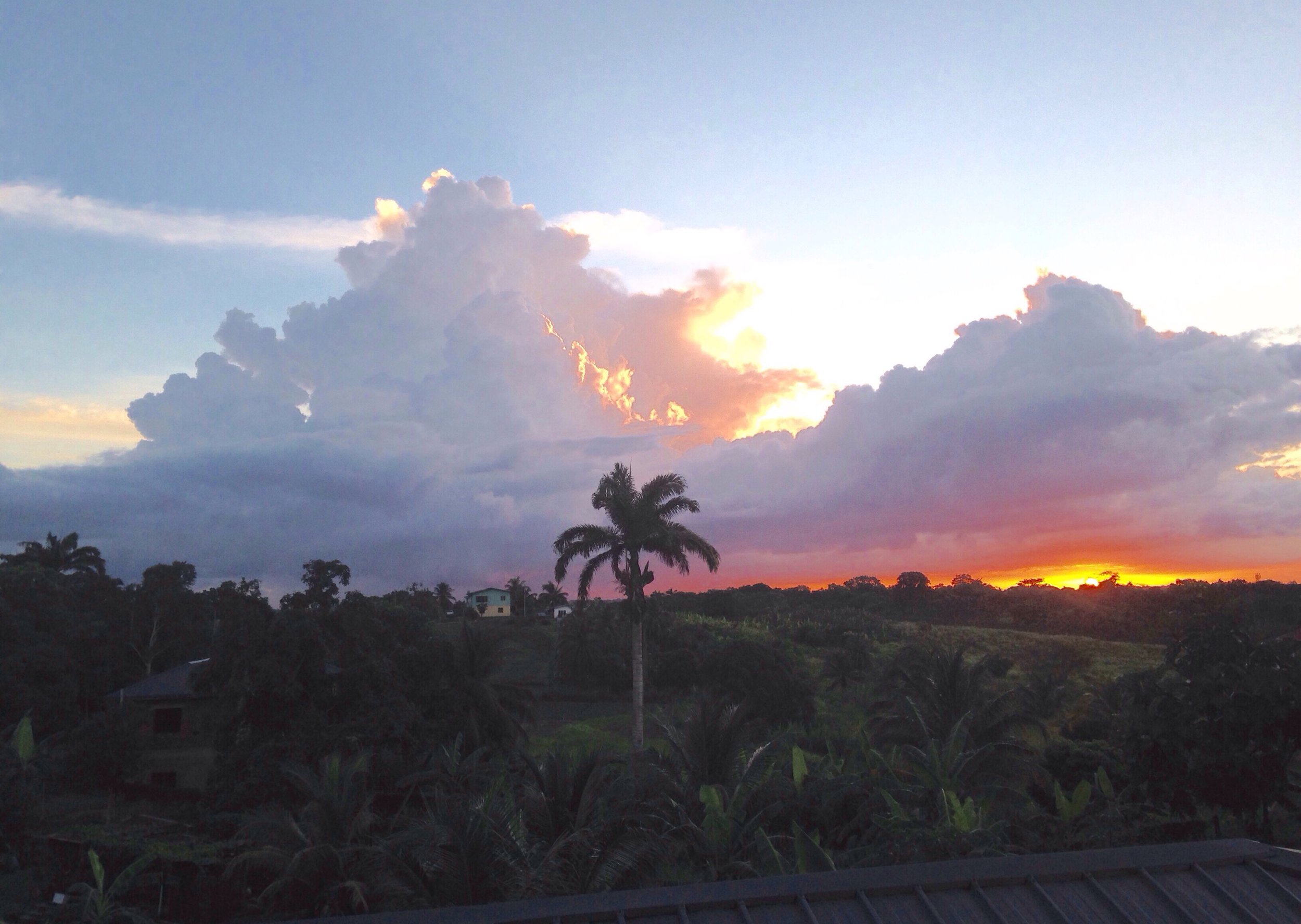 sunsetwide.jpg