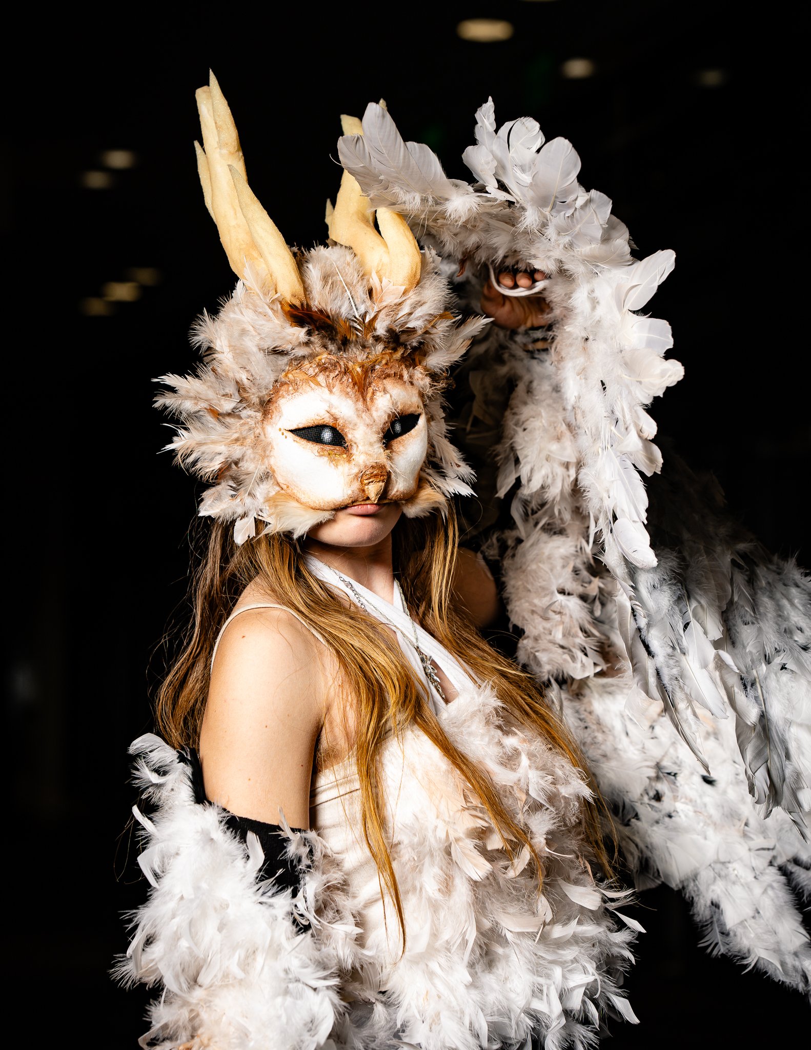 DSC08238.jpg