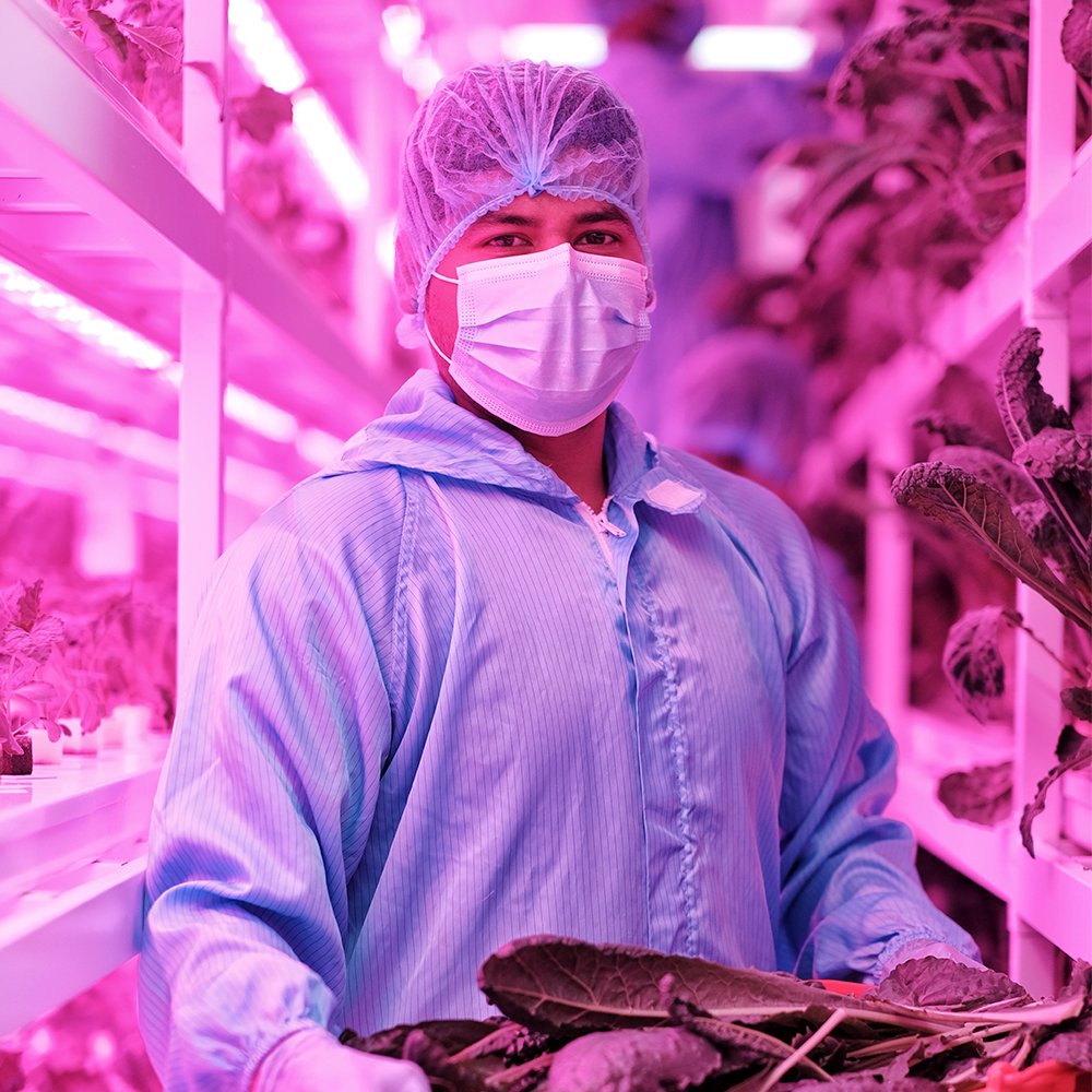 sustenir farmer.jpg