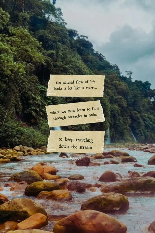 ALLOW YOURSELF TO GROW IN GRATITUDE