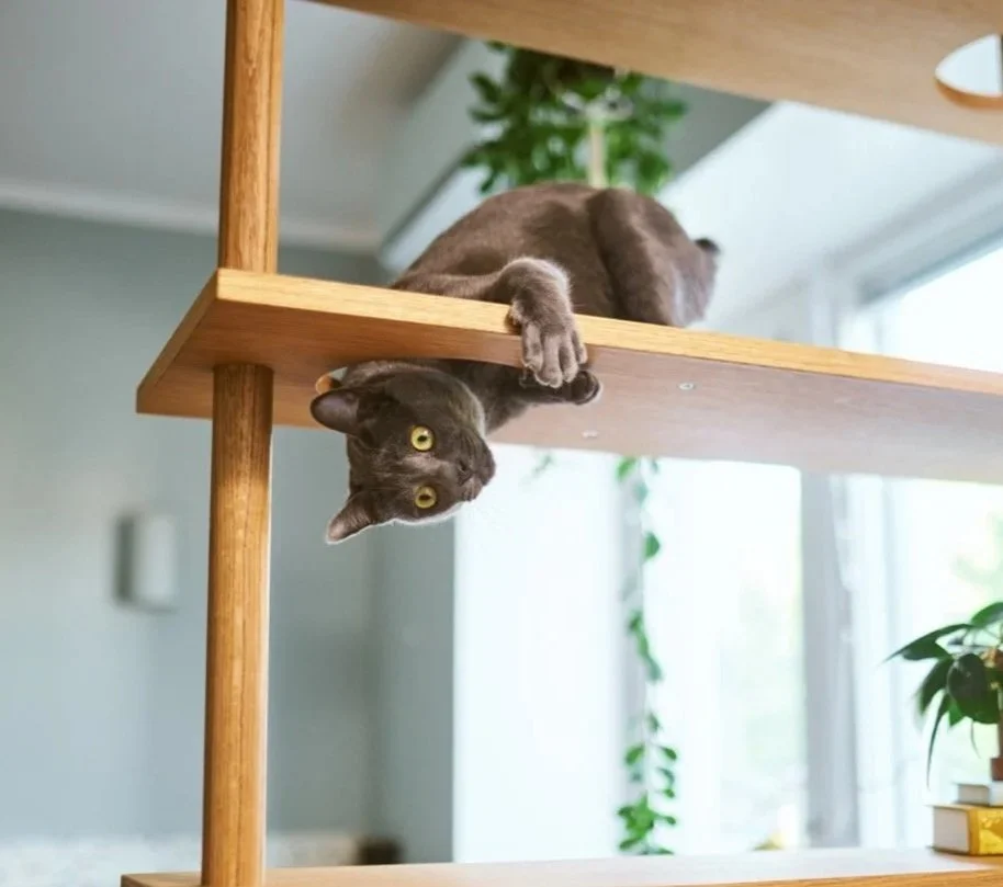 Boven