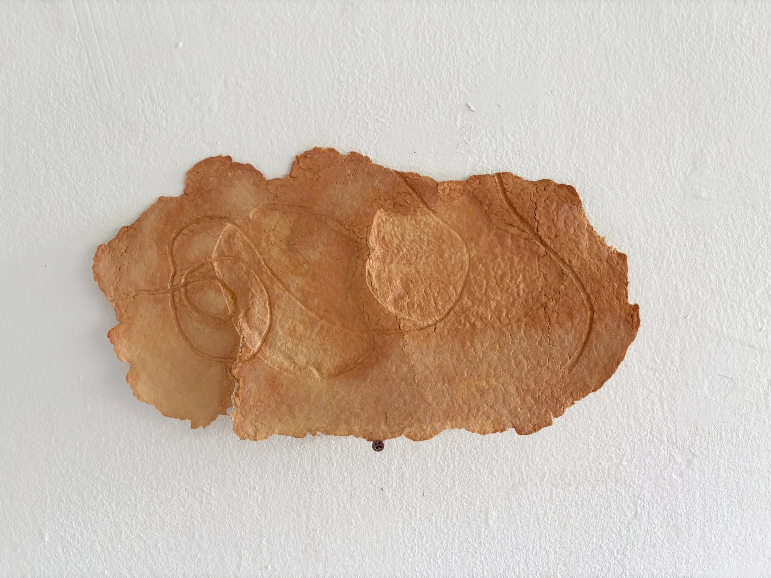 walking with your tiny feet.jpg