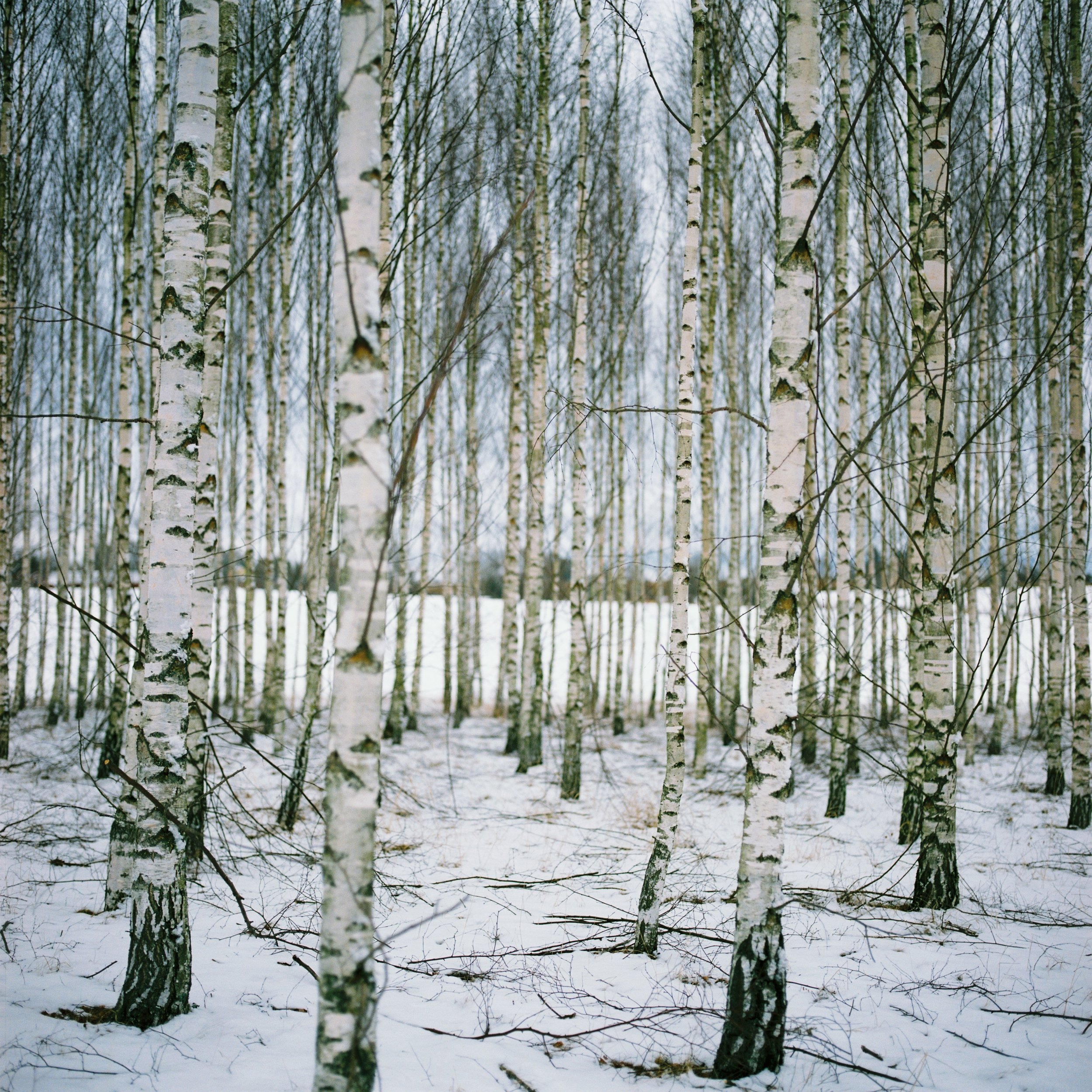 Snow