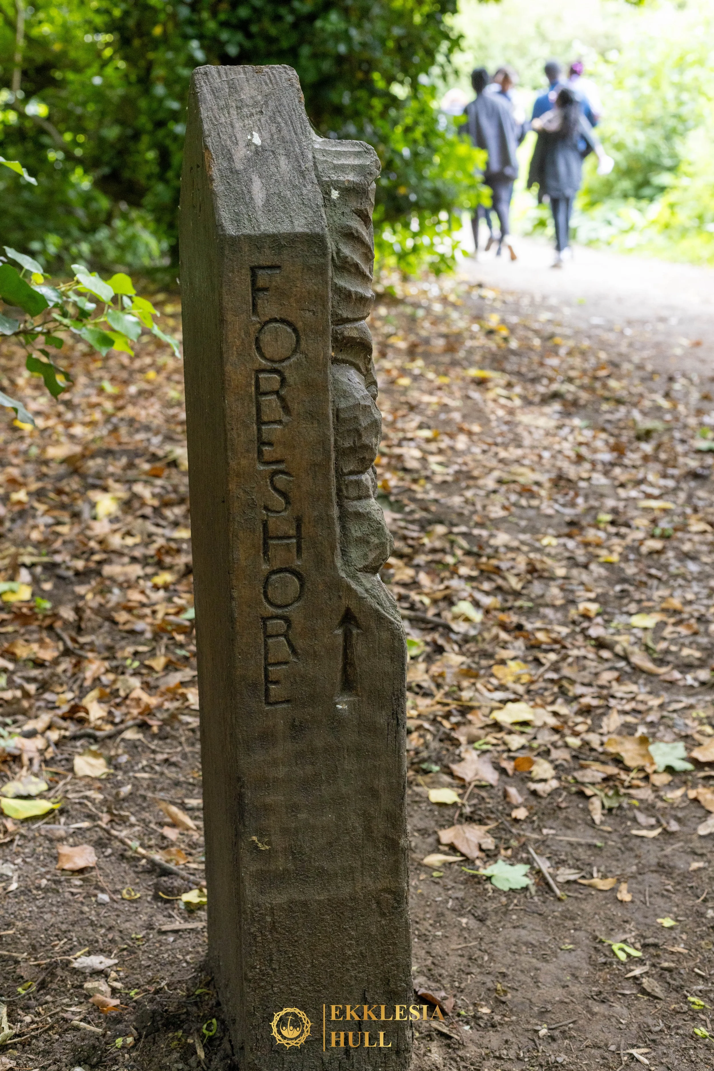 011A0137.jpg