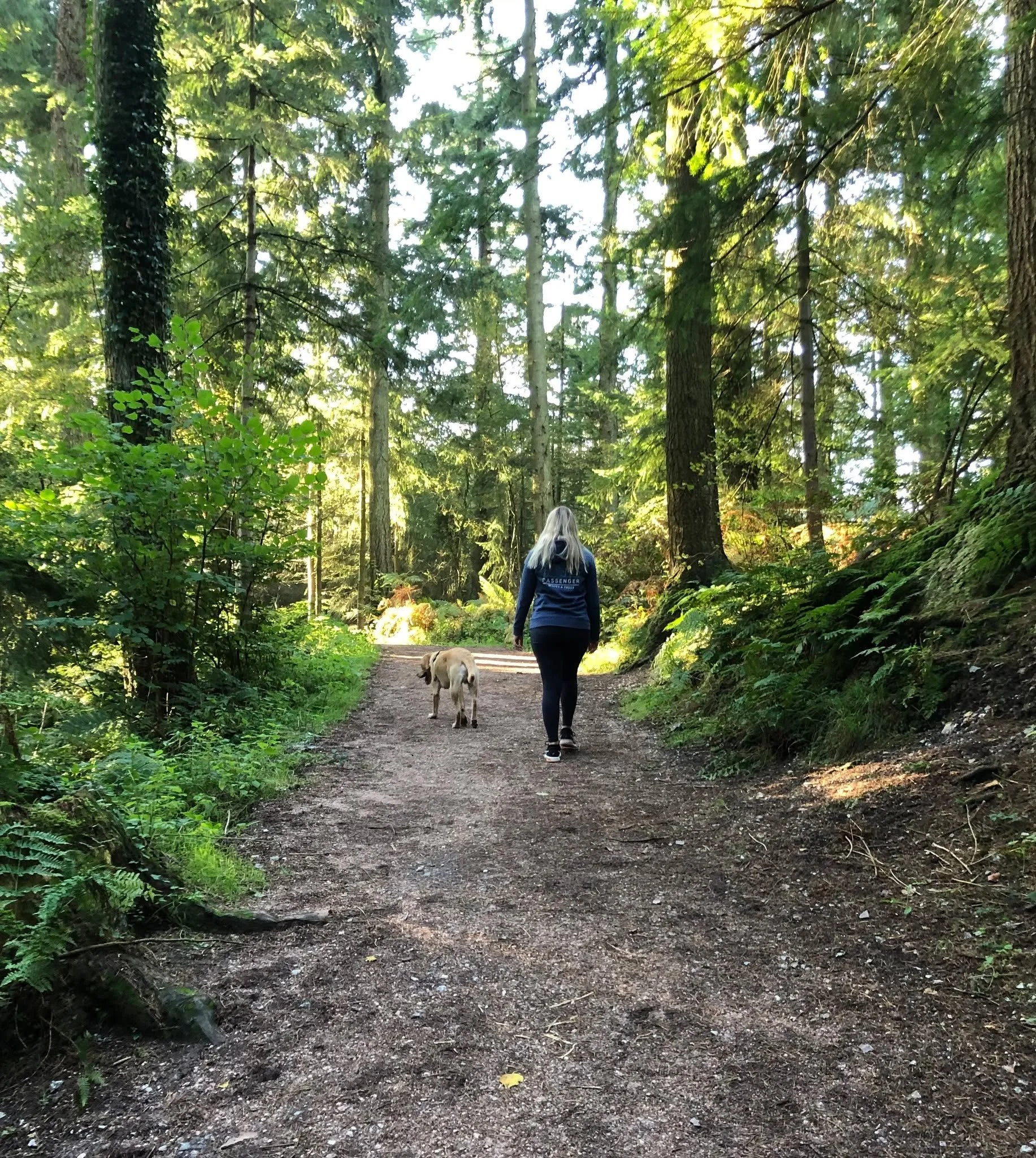 As small business owners, we often feel the pressure to be everywhere online.

To post on every platform.
Try every new trend.
Keep up, or get left behind.

But the truth is, you don&rsquo;t need to be everywhere.

You just need to be somewhere.
Cons