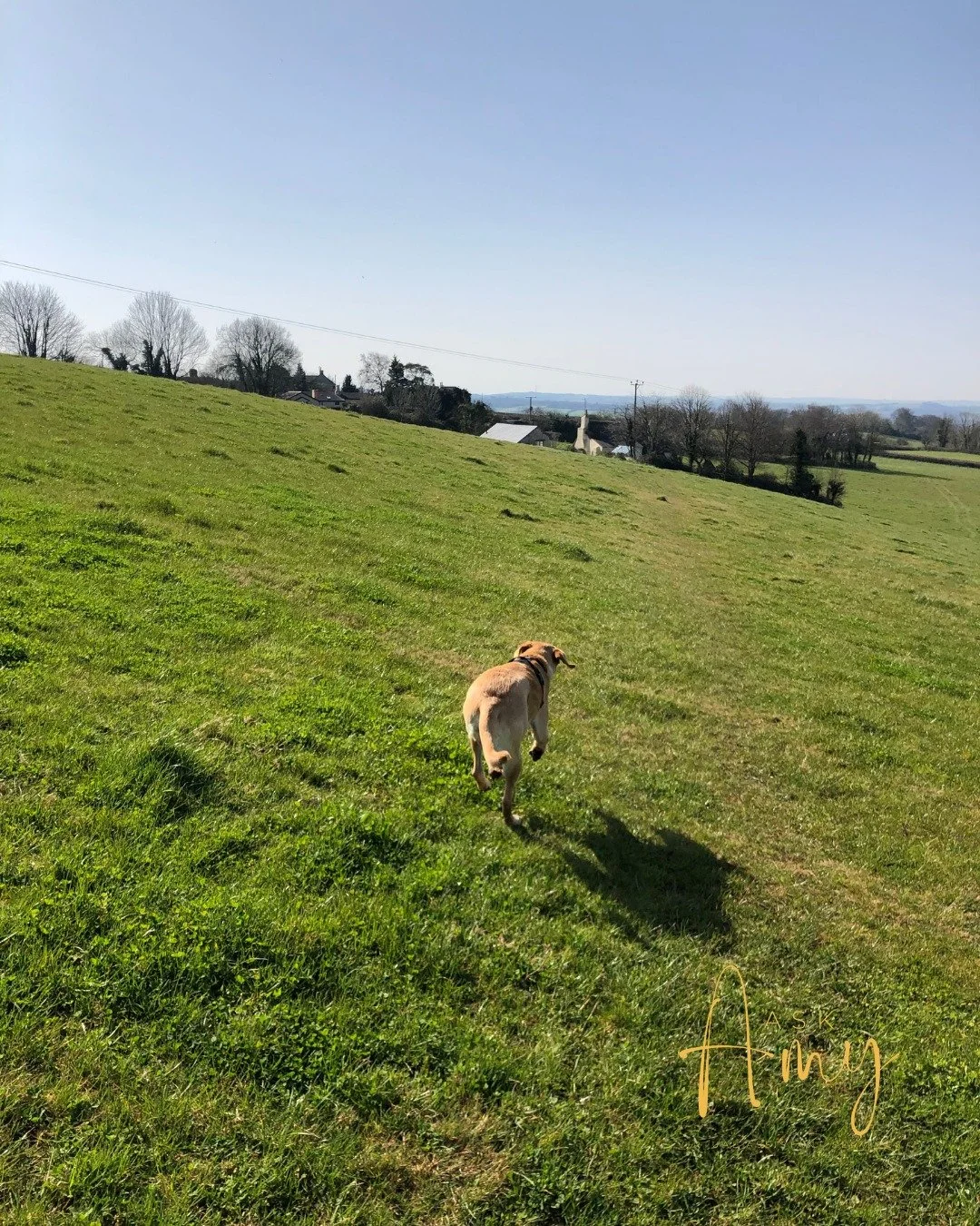 Recently, I&rsquo;ve been reflecting a lot on why I do what I do.

Not the practical reasons or the list of services, but the deeper &lsquo;why&rsquo;. The part that doesn&rsquo;t always fit easily into a sentence or a bio.

I am lucky to work with s