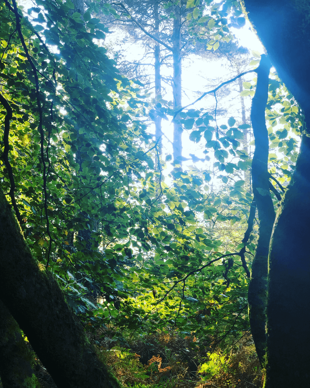 Why Clients Drift Away…