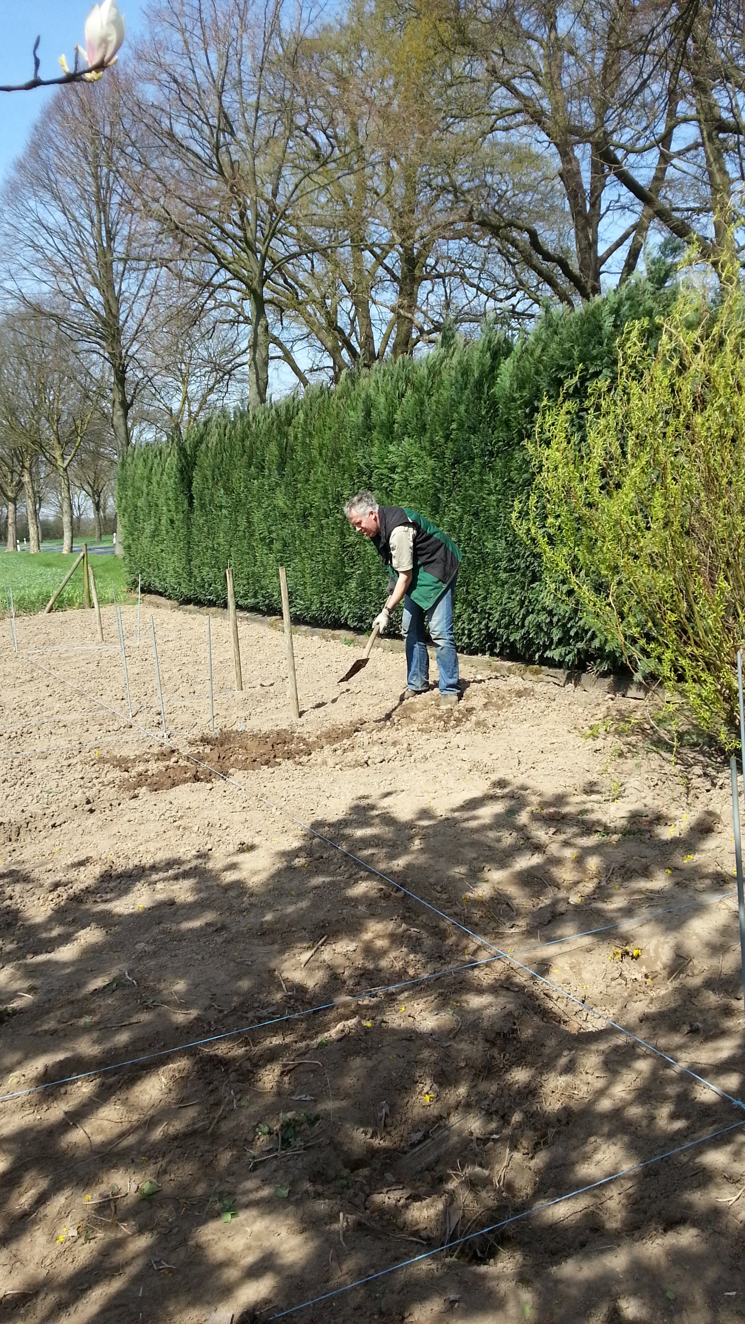 Die Struktur des Bauerngartens wird mittels diverser Hilfen festgelegt. Heinz, das hast du wunderbar gemacht - Danke.