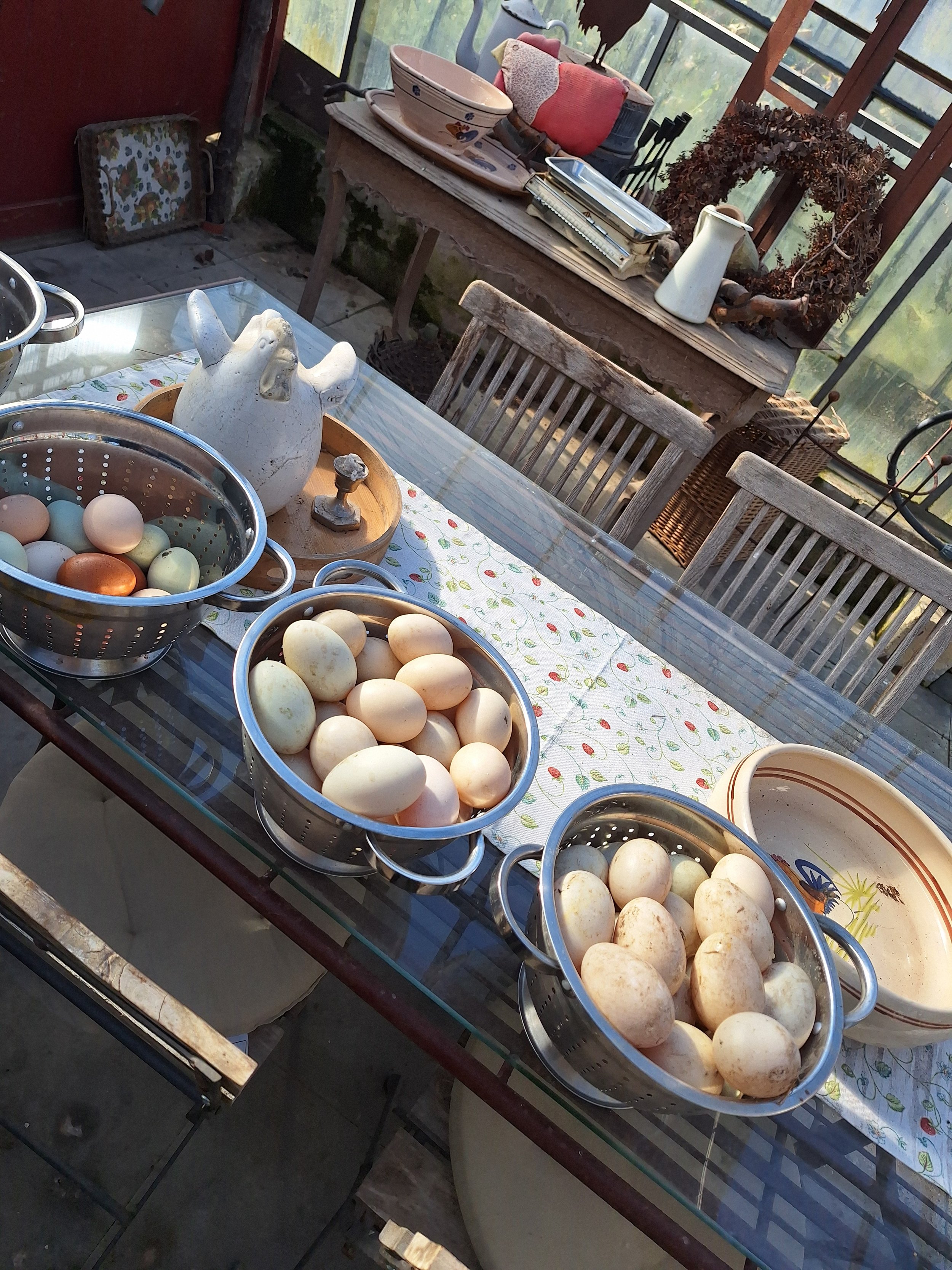 Was nun? Wir machen dann mal Eierlikör.....