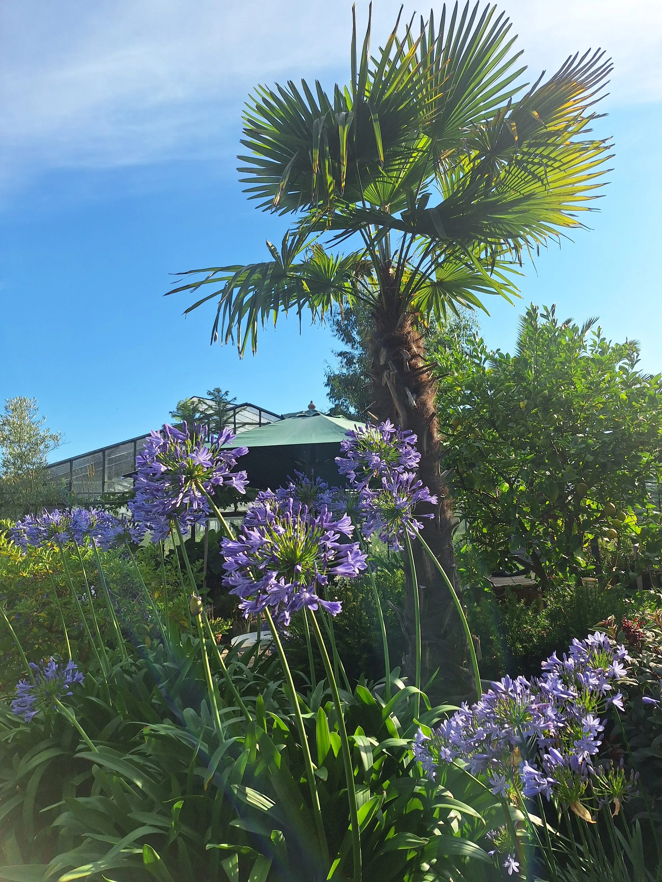 Wozu wegfahren? Wir machen Urlaub zu Hause