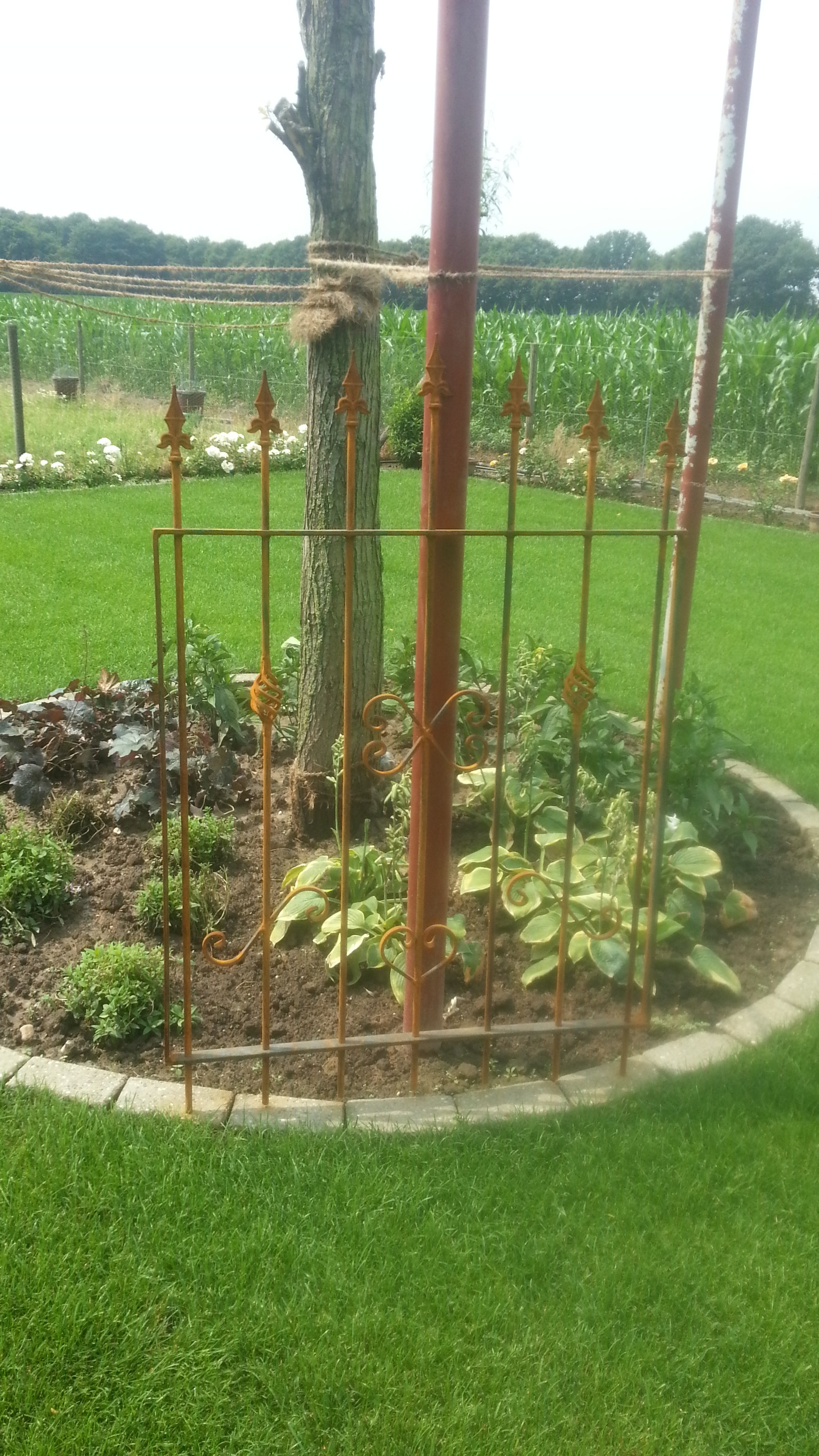 IMG-20150705-WA0000.jpeg