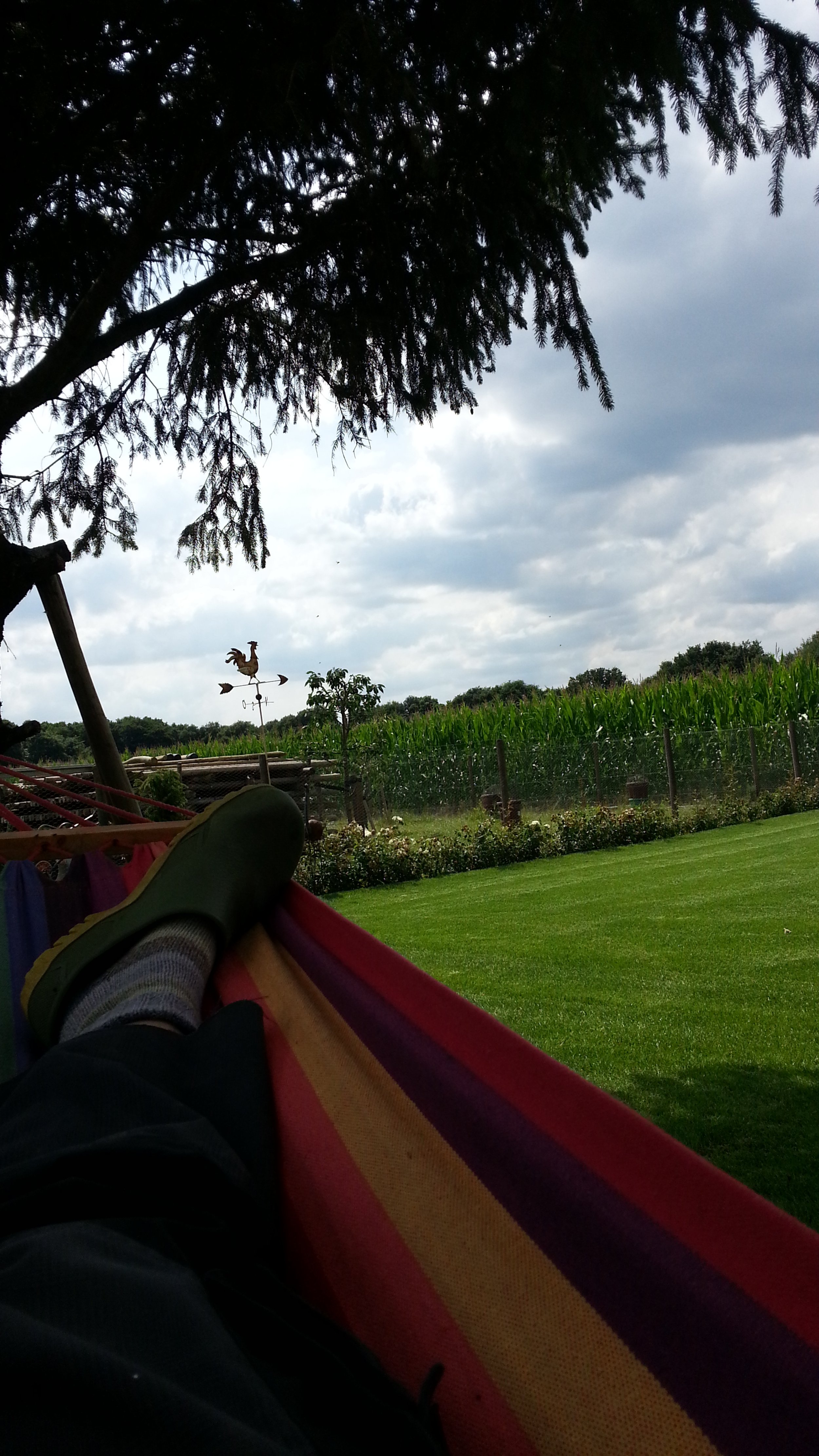 IMG-20150722-WA0005.jpeg