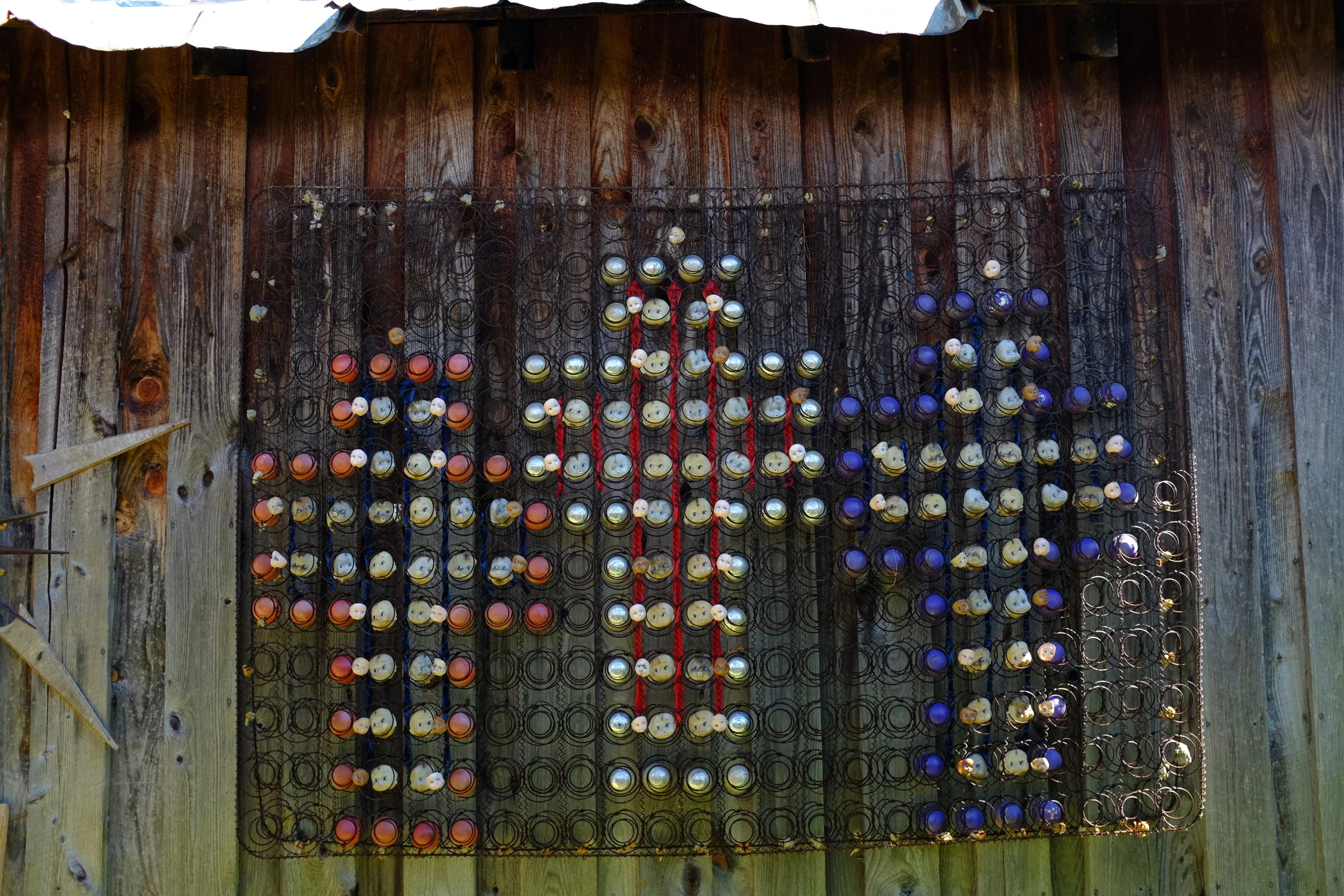 HWB collections 2020-06-11_0321.JPG