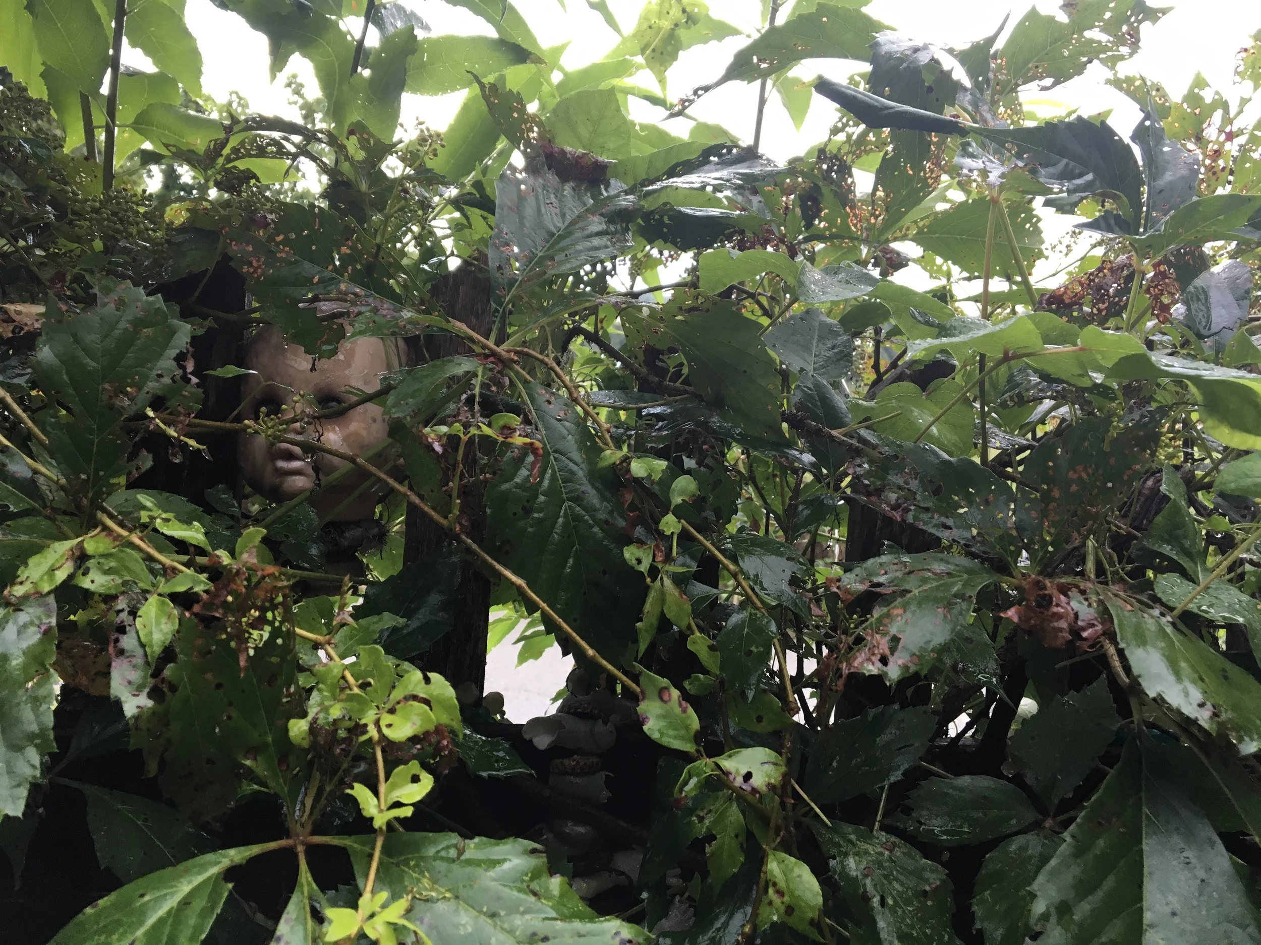 HWB 1 Cover page 2017-07-27_0053.JPG