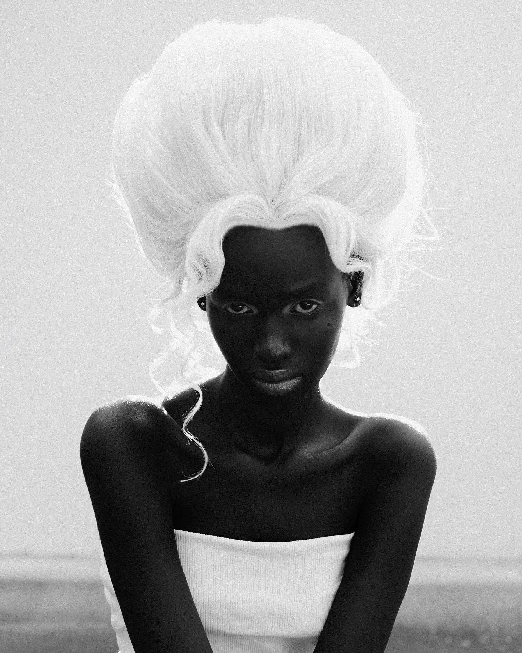 435_41 copiaeres.jpg