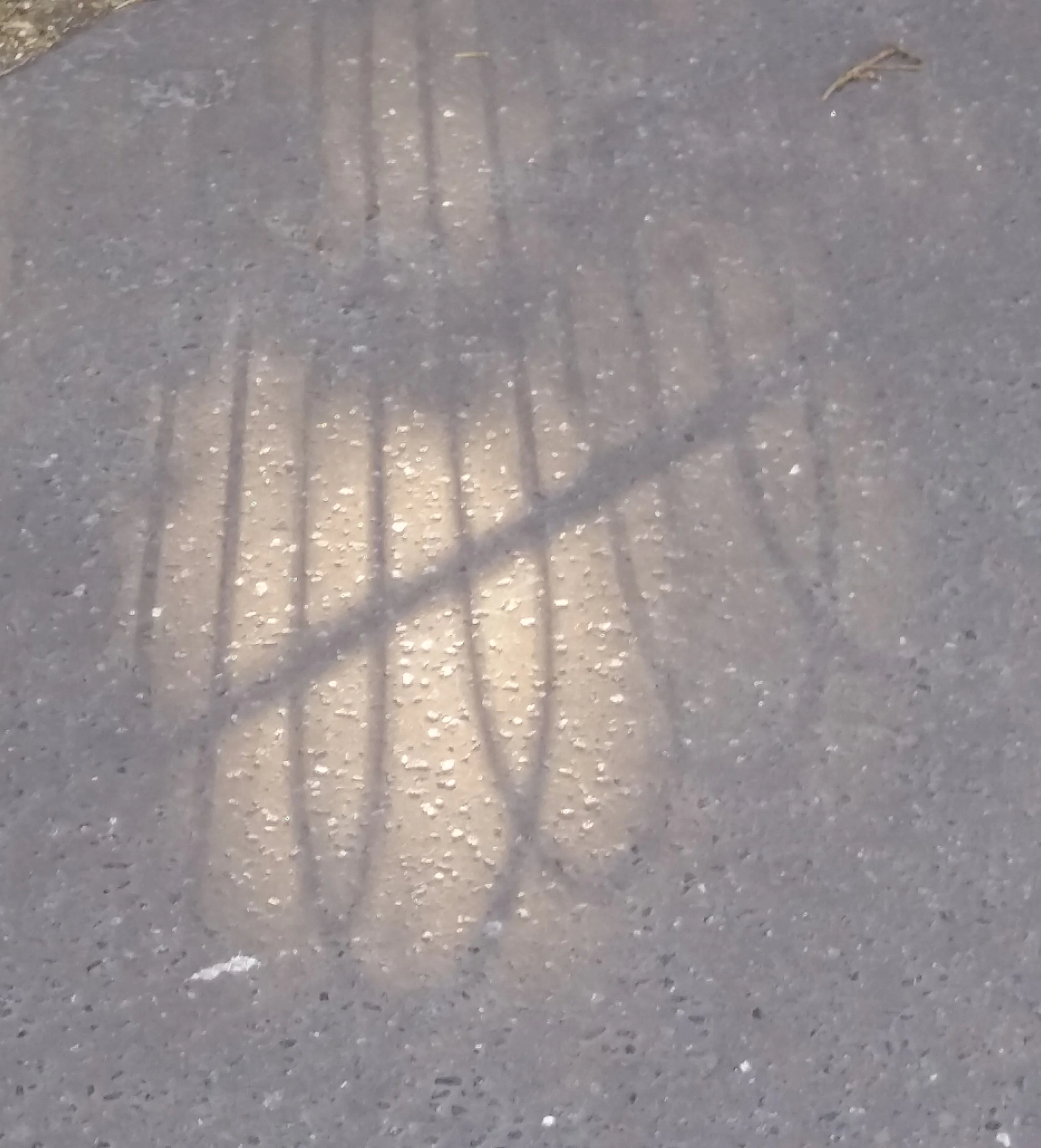 20230529_185745 (2).jpg