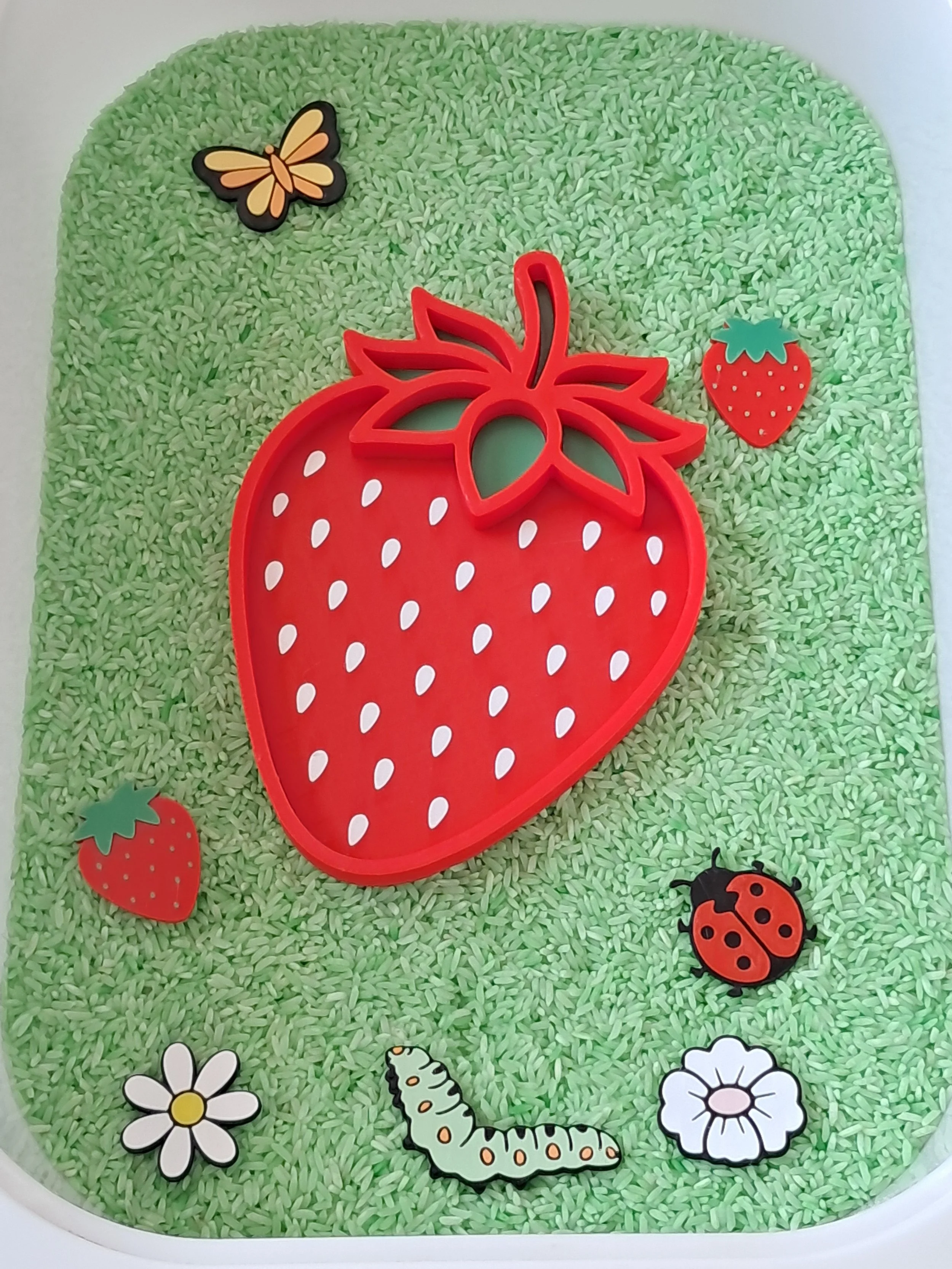 Plateau sensoriel Fraise, tri, comptage, transvasement