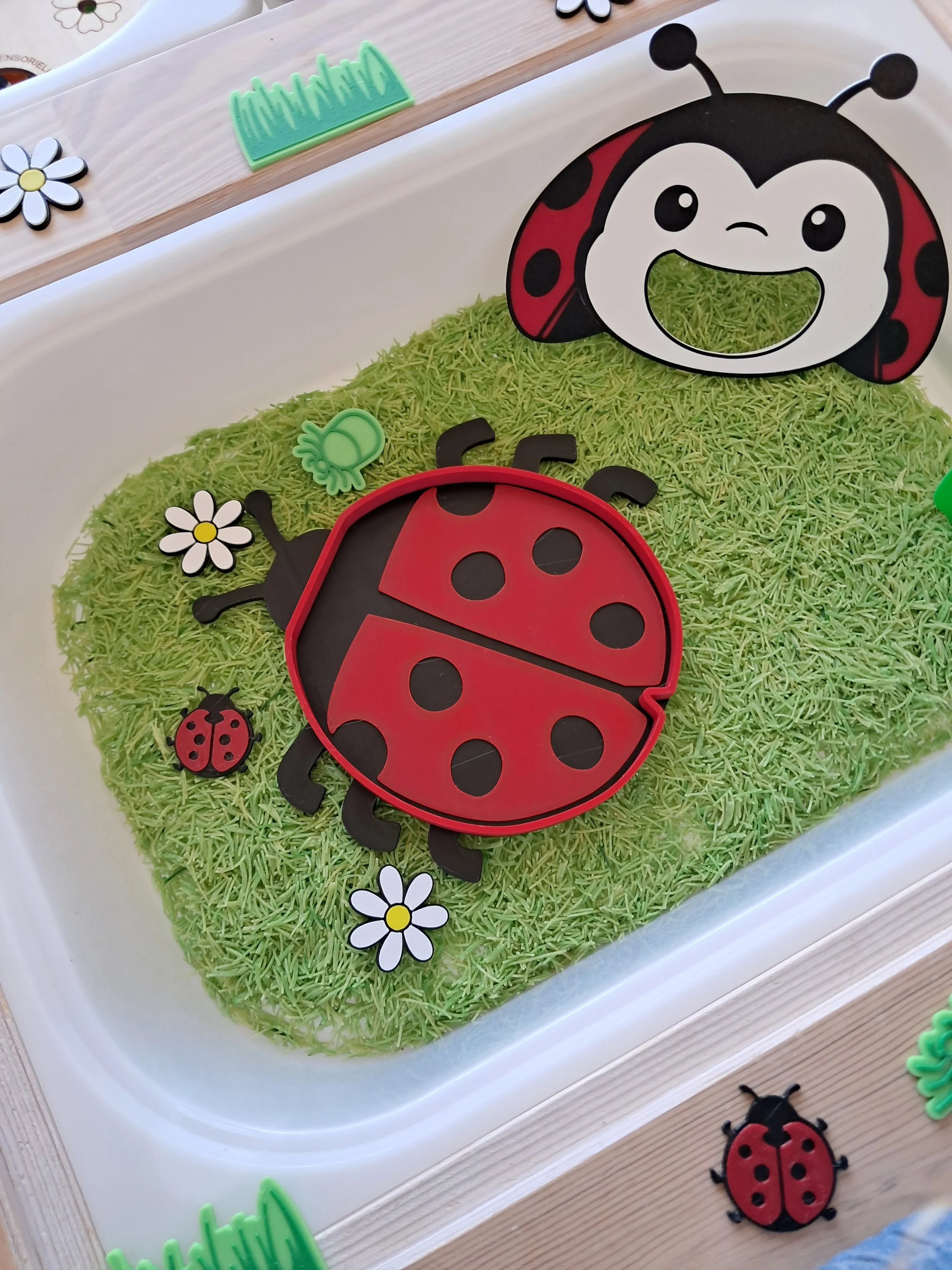 Plateau bio sensoriel Coccinelle