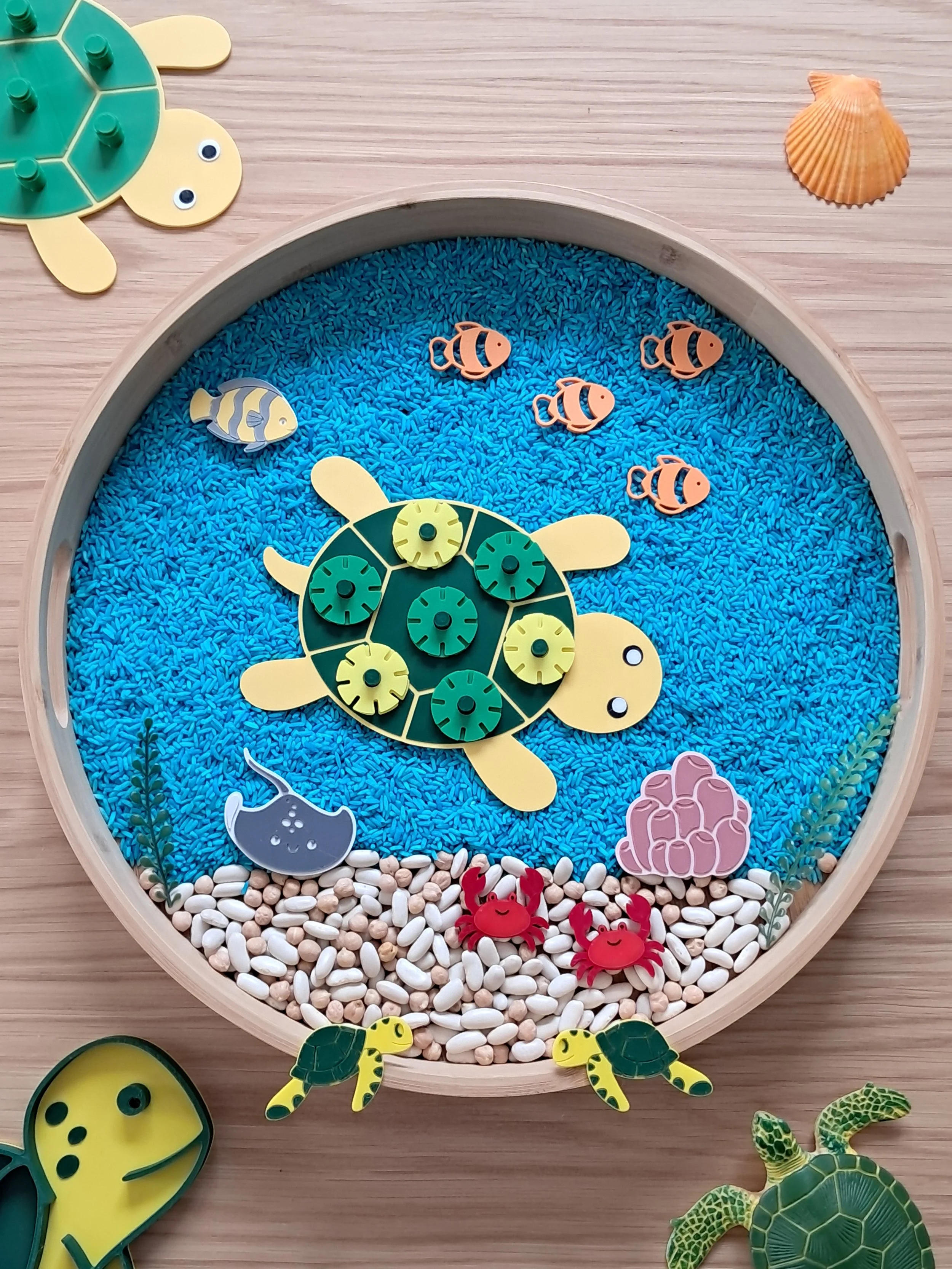 Tortue sensorielle à picots pour connecteurs