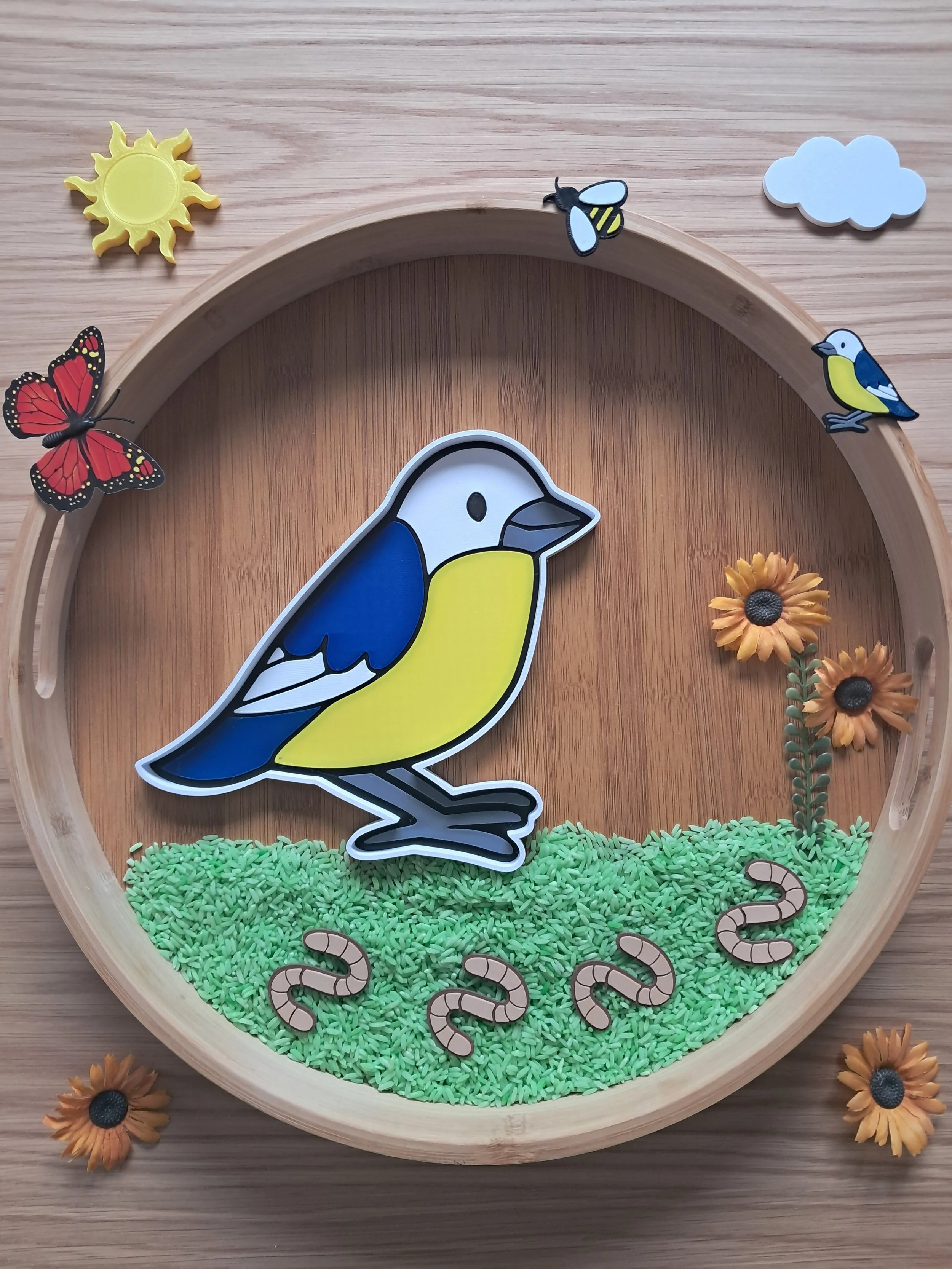 Plateau sensoriel Oiseau