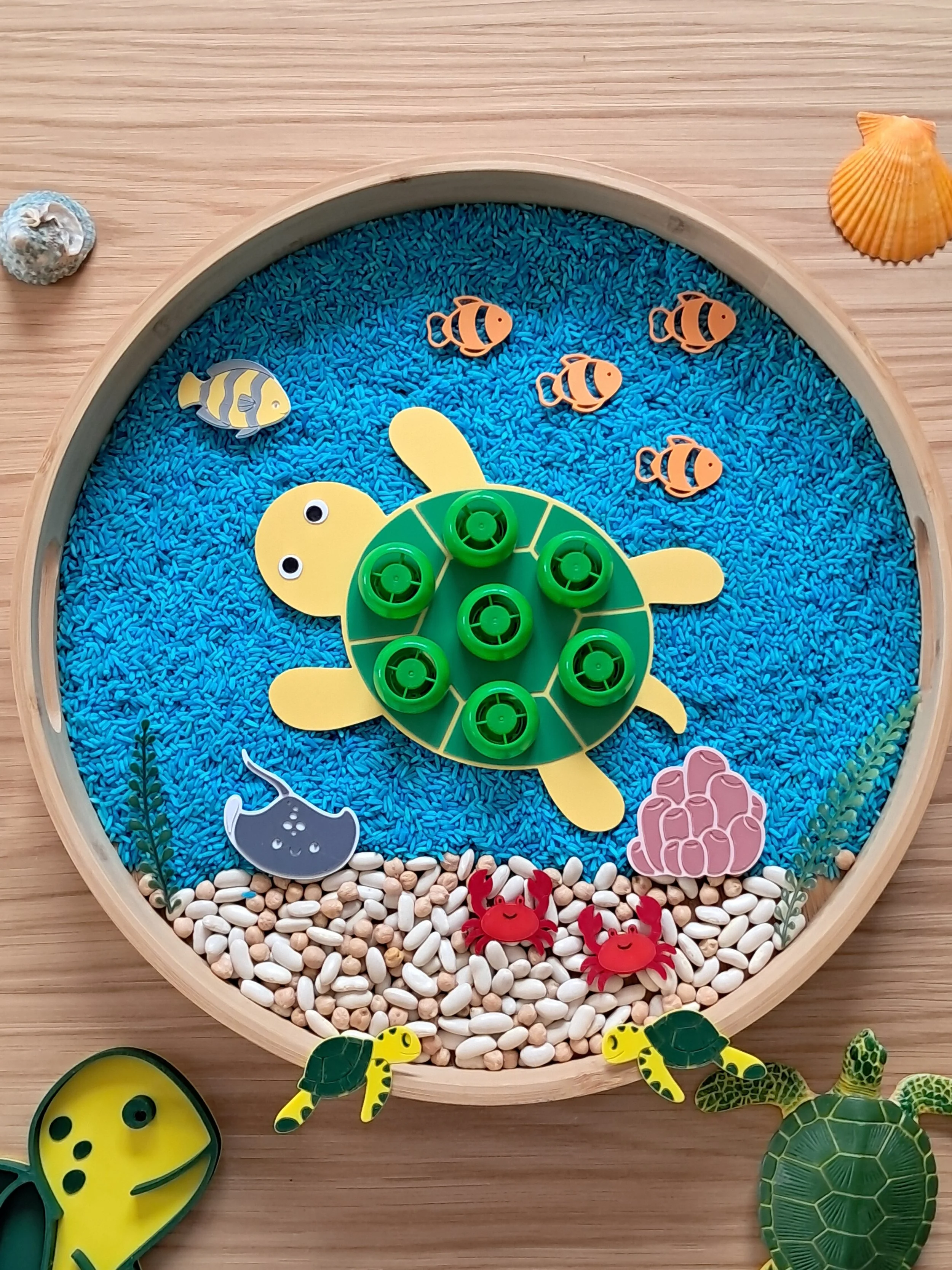 Plaque sensorielle Tortue pour bouchons