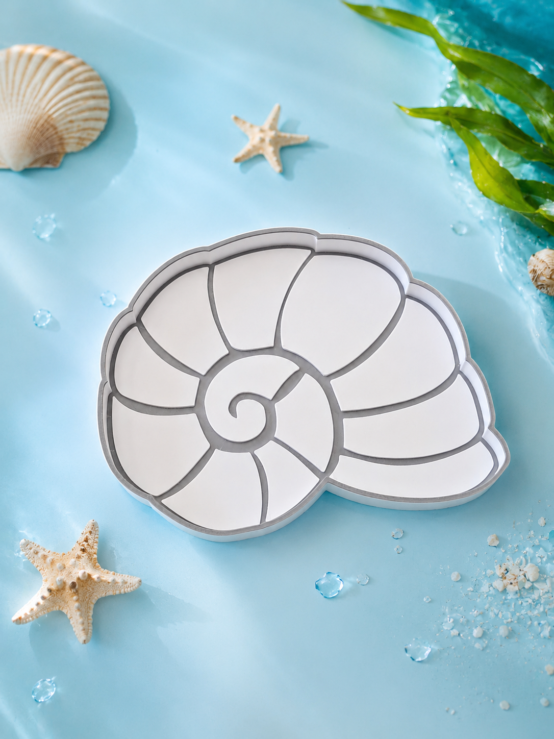 Plateau sensoriel Coquillage escargot