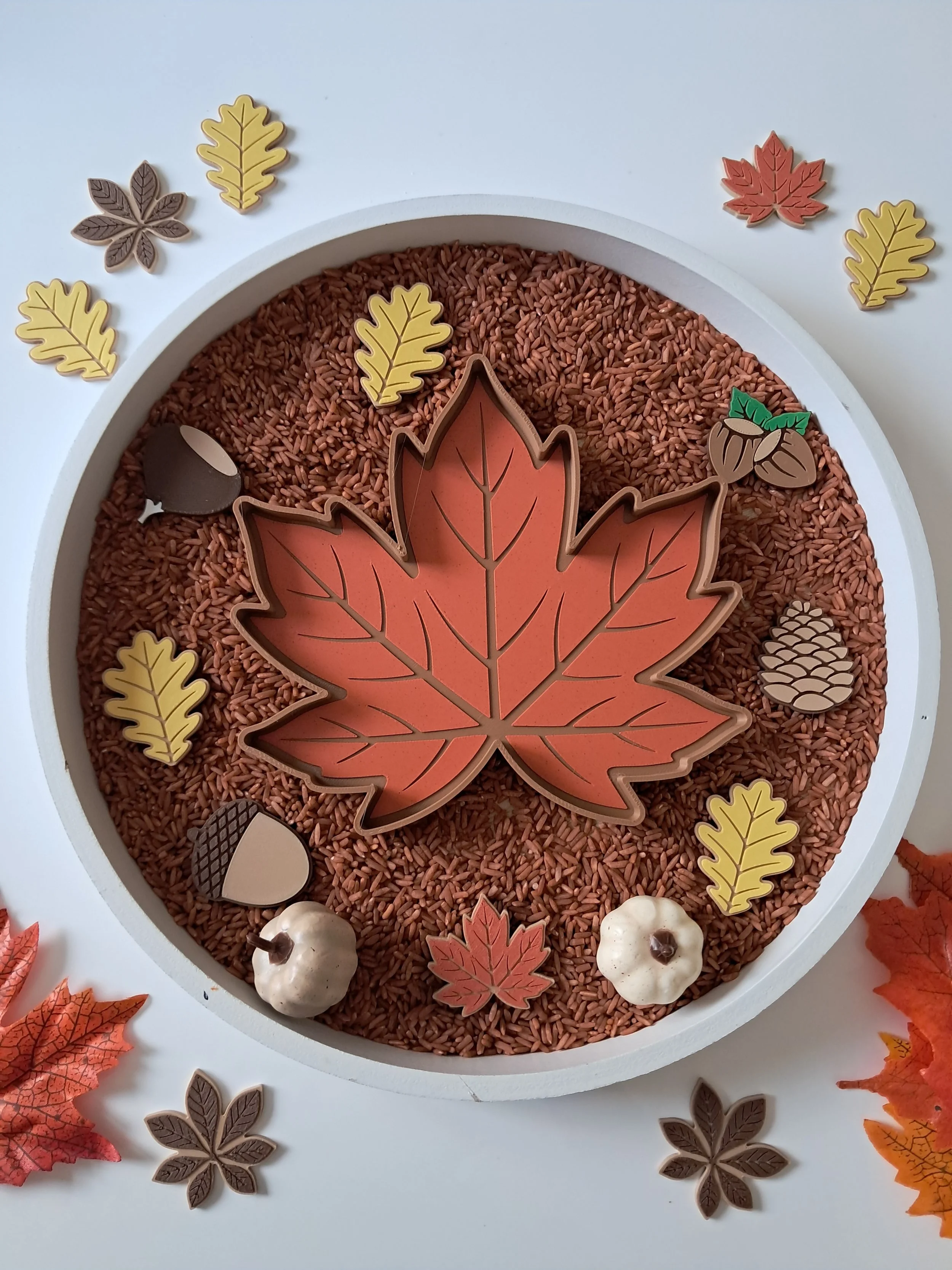 Plateau sensoriel Feuille d'automne, tri, comptage