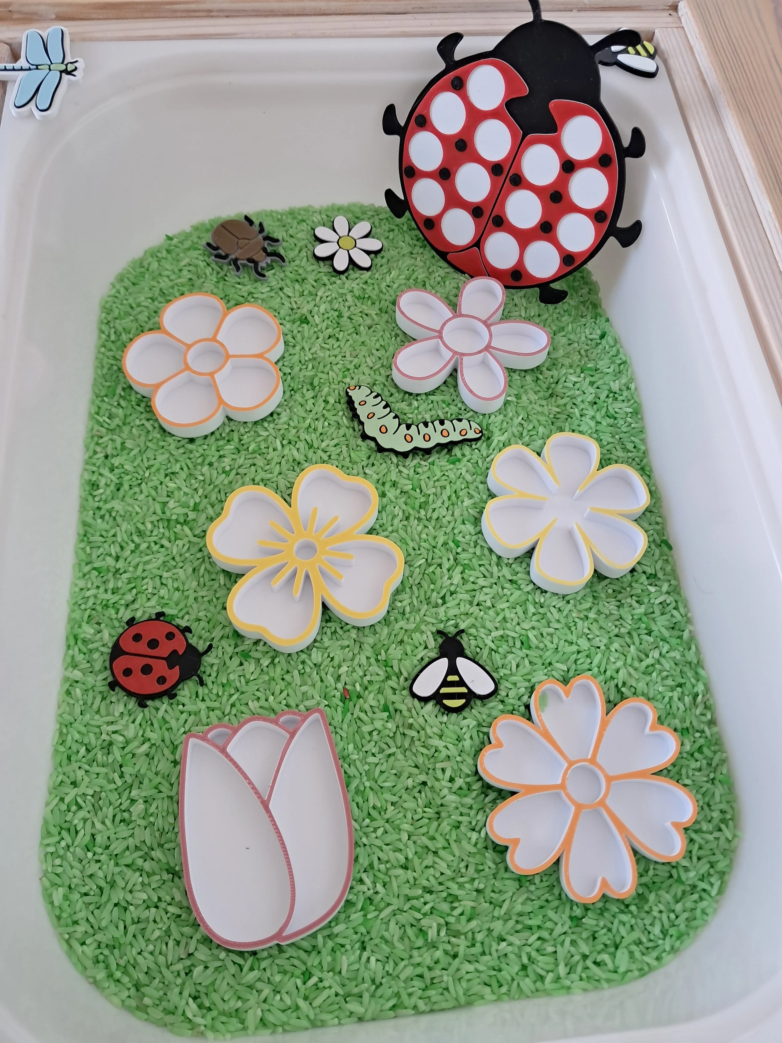 Lot de 3 petits plateaux Fleurs sensorielles