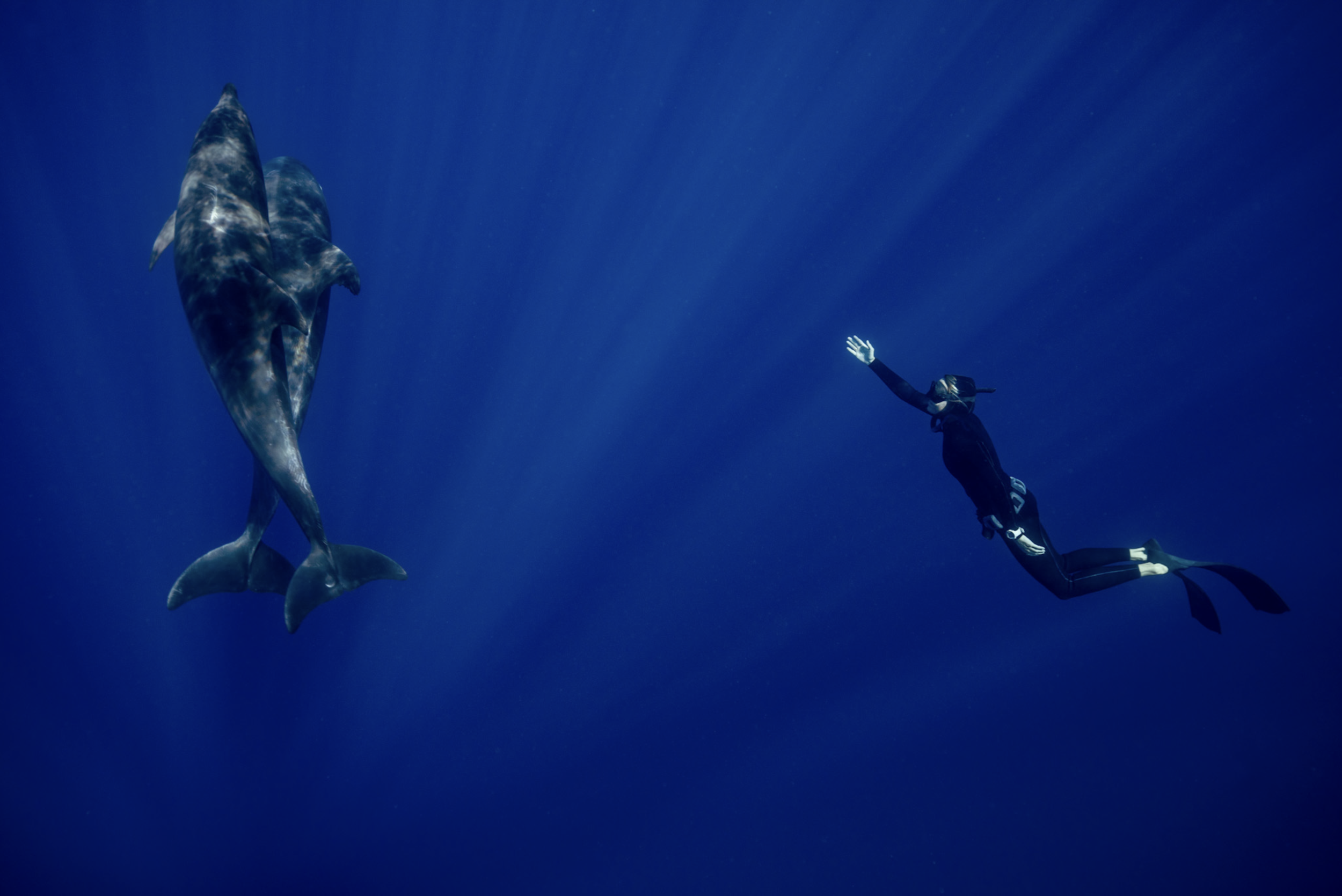 Copyright Bridget Ferguson, Pacific Story, 2024.