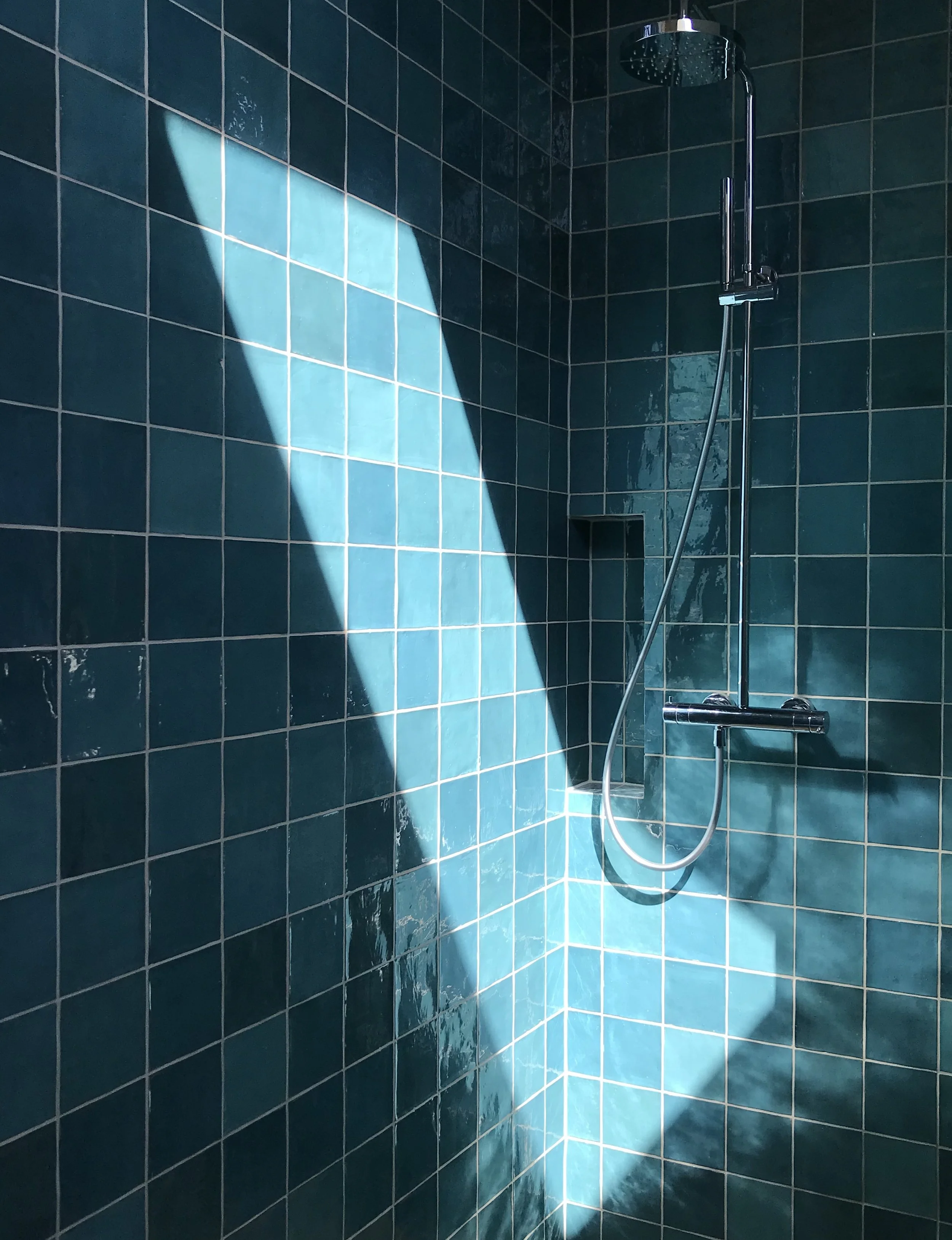 220121_2017_sls lerner.JPG