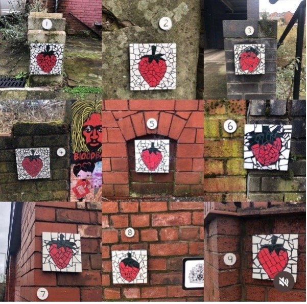 The Strawberry Trail