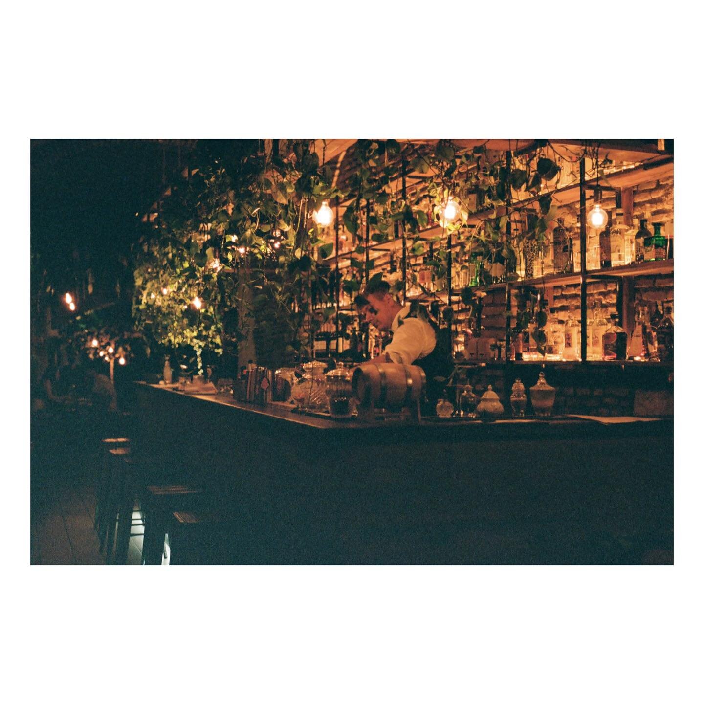one night in Julia &amp; I walked down a street in Rome and peeked into @clorofillaroma to find a magical bar filled with plants, delicious one of a kind cocktails &amp; all the green 🌿vibes you could want
.
.
.
Roma, Italia 
August 2022
.
#roma #it