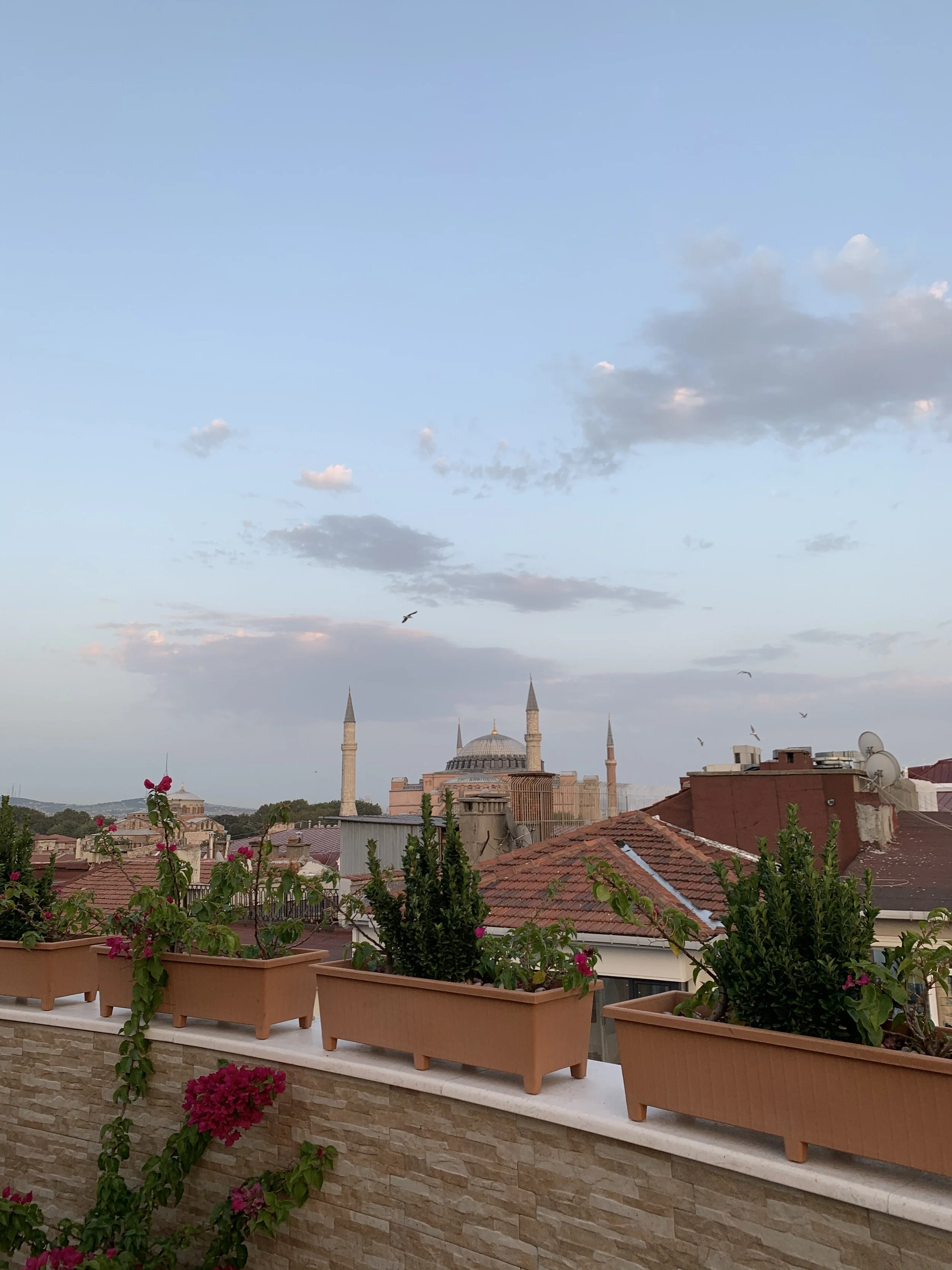 IMG_7695.jpeg