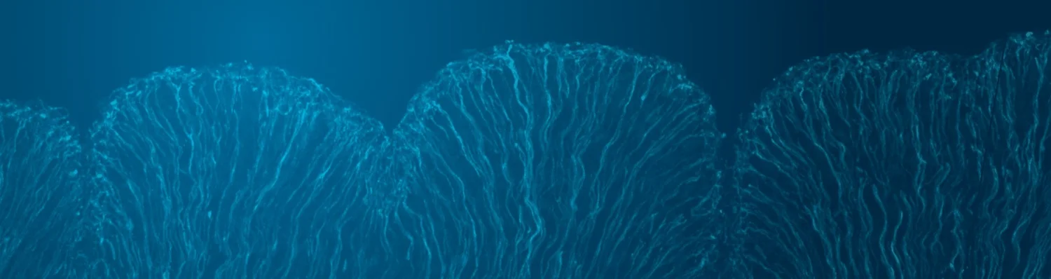 Neural Development — HDBI - Human Development Biology Initiative