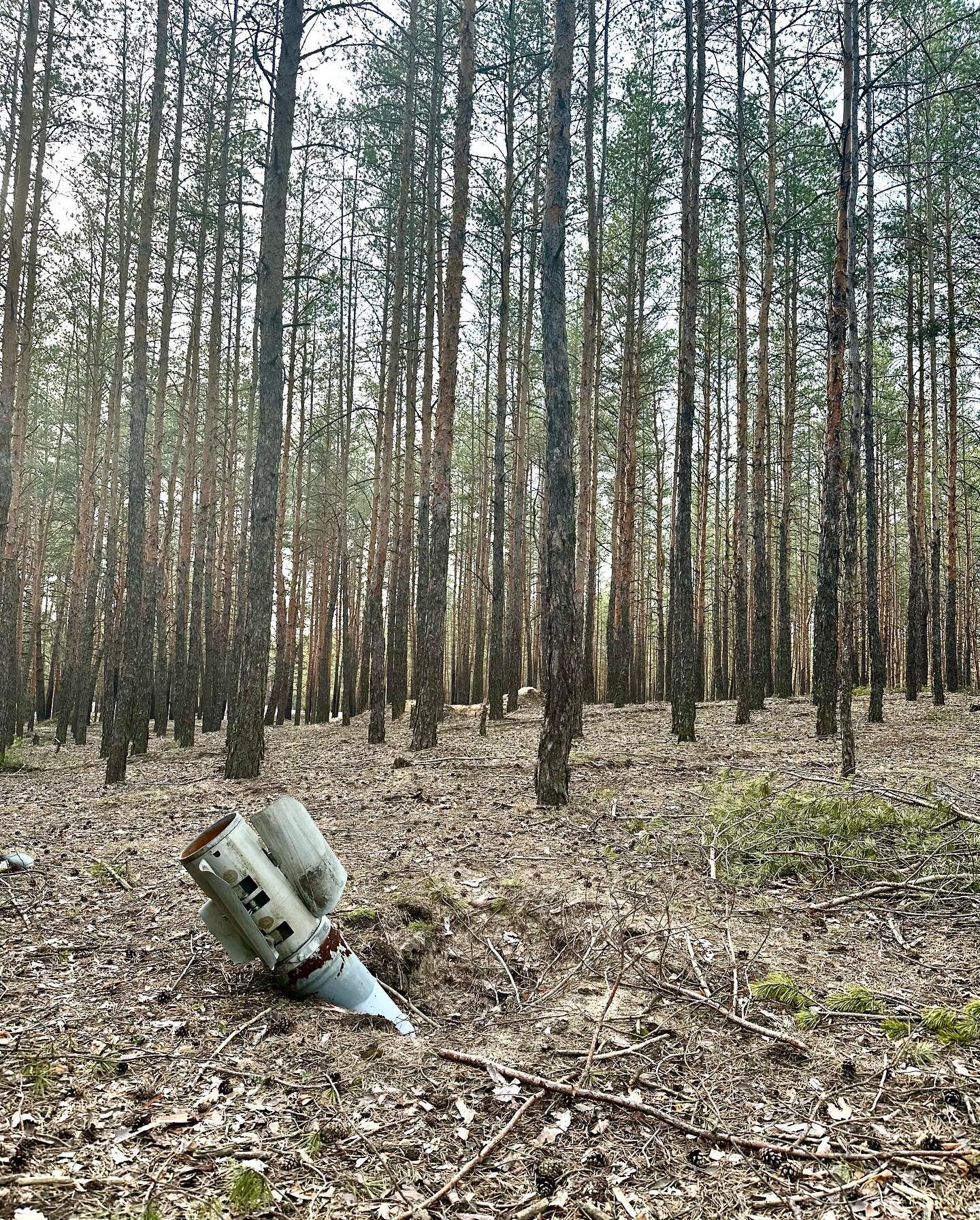 An unexploded rocket lies on the edge of a forest in Izium, Ukraine, meters away from a line of homes