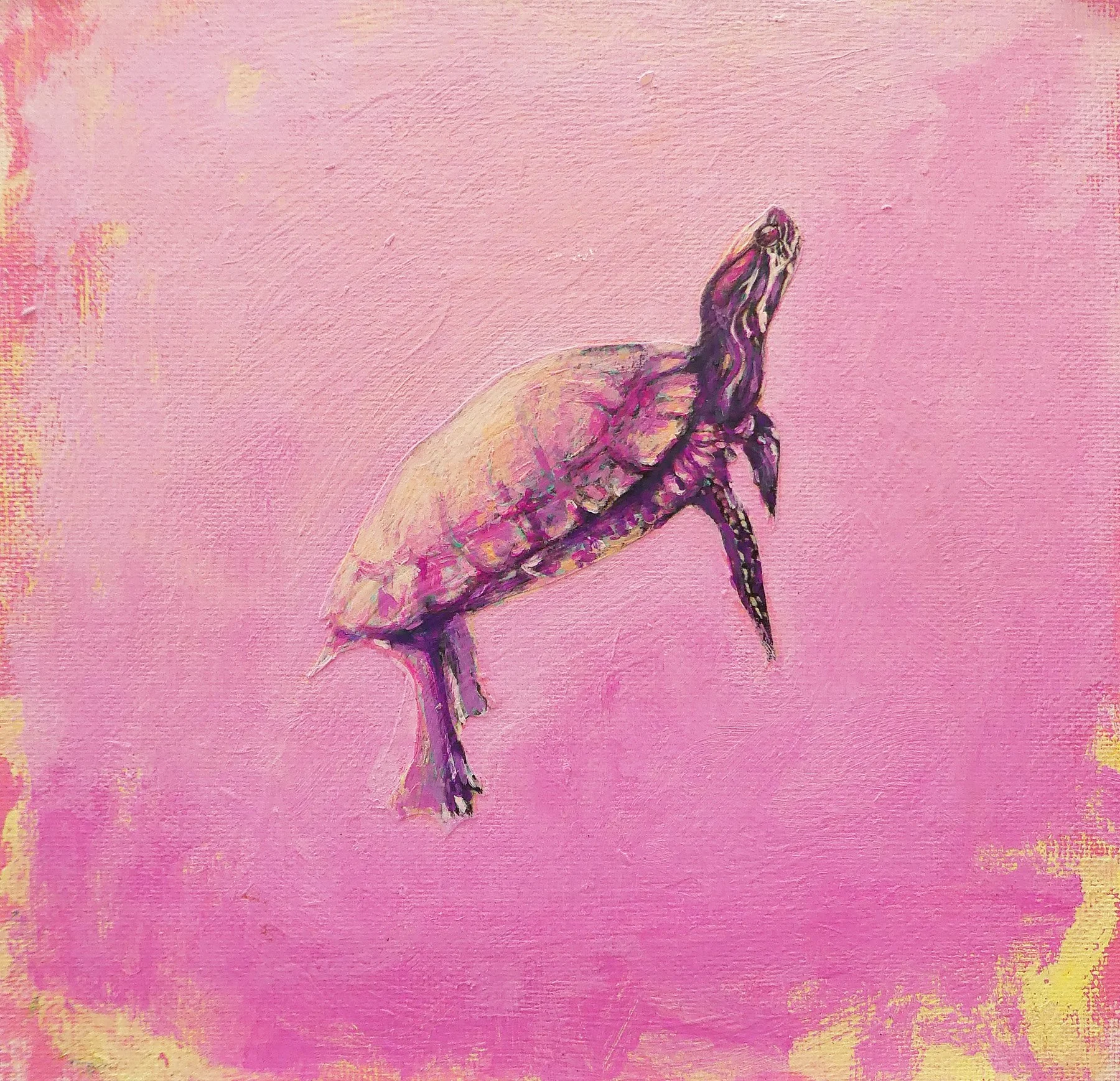Surfacing sketch 1