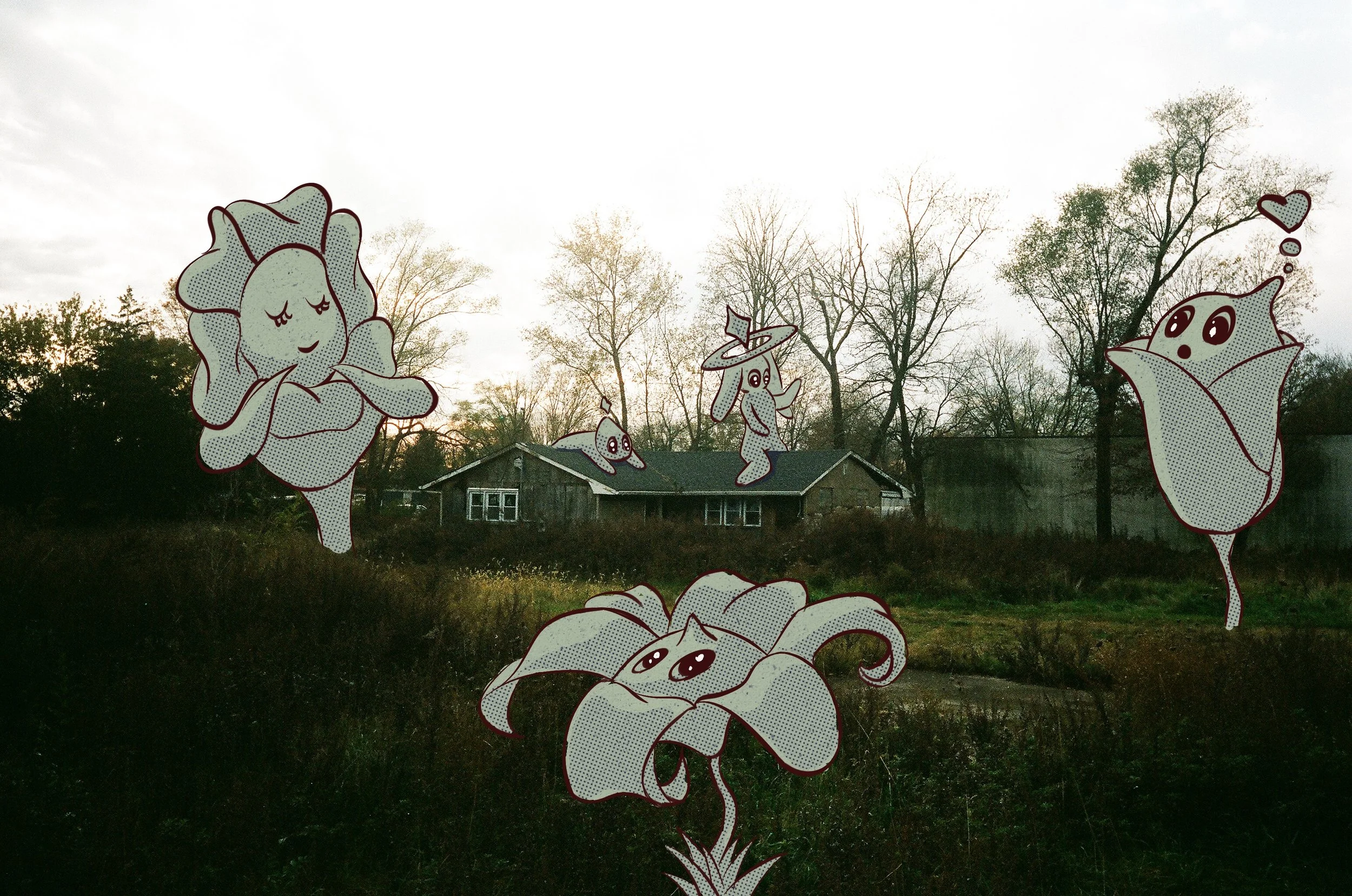 Allys_Bloom_3.2.26.jpeg