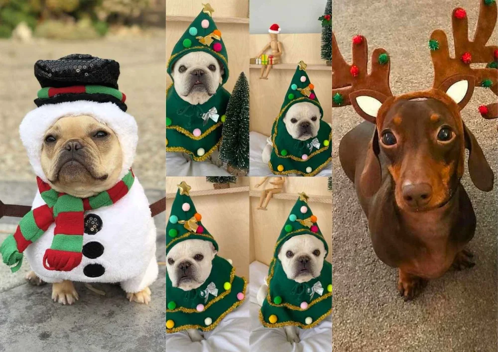 christmas dress up for dogs Dog Cat Hoodie Christmas Costume Christmas Outfit Fashion Cute Winter Soft  Washable Comfortable Christmas Outdoor Casual Daily Dog Clothing for Bichon  Frise Poodle Pomeranian Baby Pet Papillon 2026