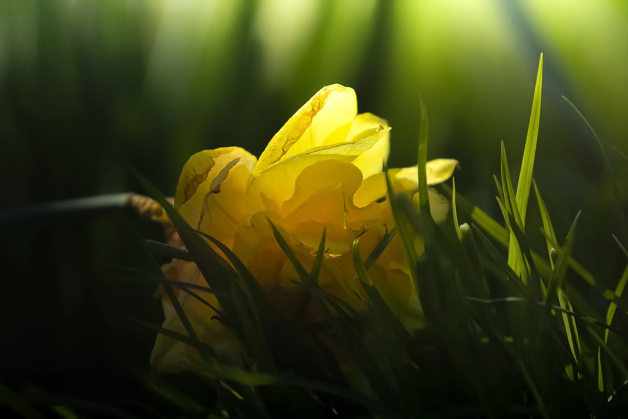 PSX_20220419_165810.jpg