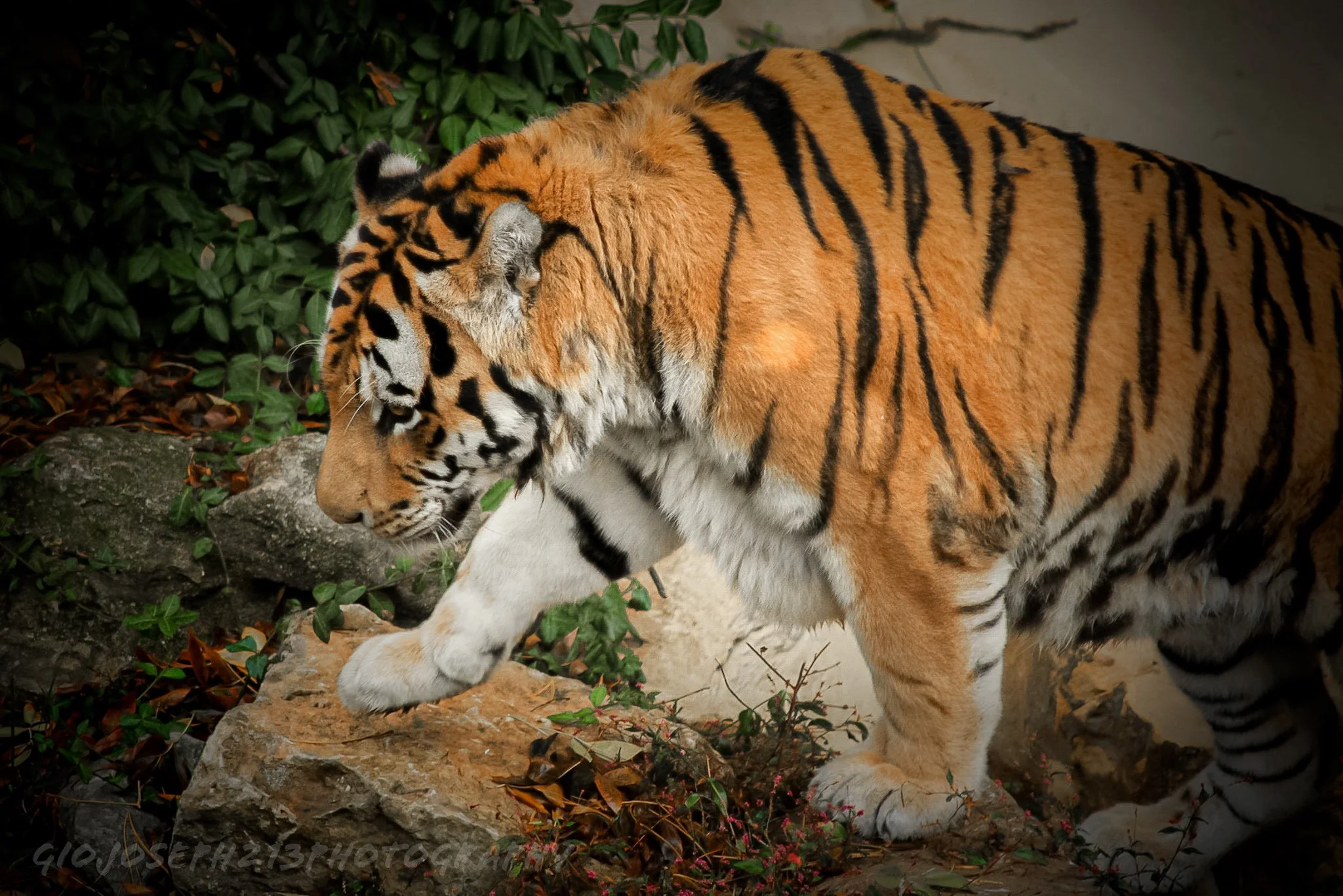 AdobePhotoshopExpress 2021-11-13 19_40_44.jpg