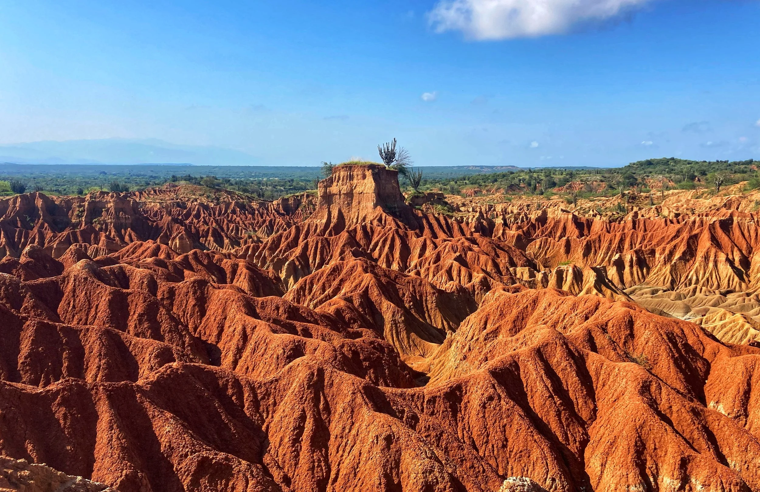 Of paramos, cities and deserts - BWB Colombia