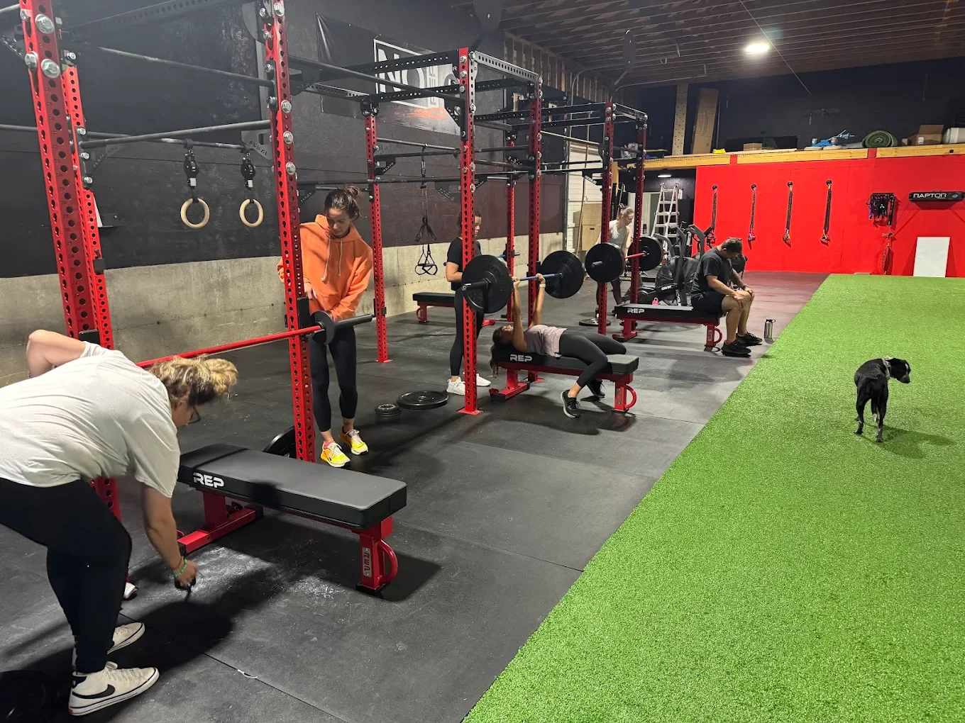 Programming — No Rep: Programming, Training, and Nutrition