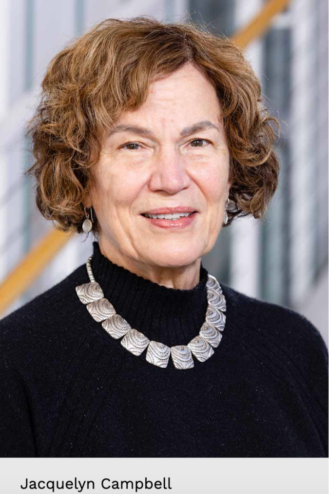 BRAVE Nursing Center Inaugural Dr. Jacquelyn Campbell Lecture