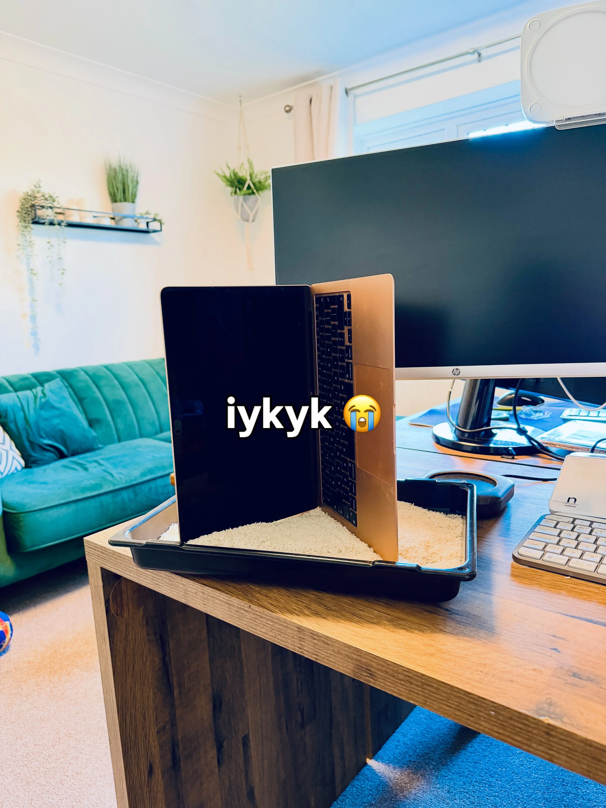 My entire business is currently sitting in a bag of long-grain. No IT department, no spare, no &lsquo;working from home today&rsquo; - just me, a laptop full of client work, and a Tesco value rice and a prayer. If you&rsquo;re self employed, I&rsquo;