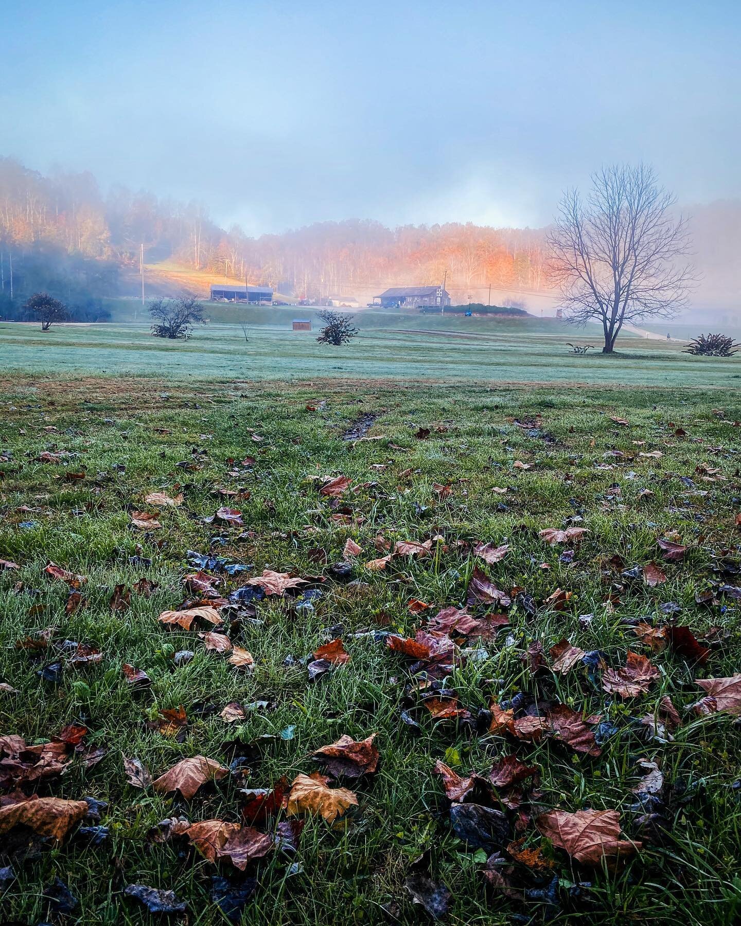 Somewhere deep in the hollers of east Kentucky is a place that might not look like much, but will always feel like home.

In true Appalachian fashion, mornings  were quiet. Heavy with a thick fog that wouldn&rsquo;t break til almost noon. The sun wou